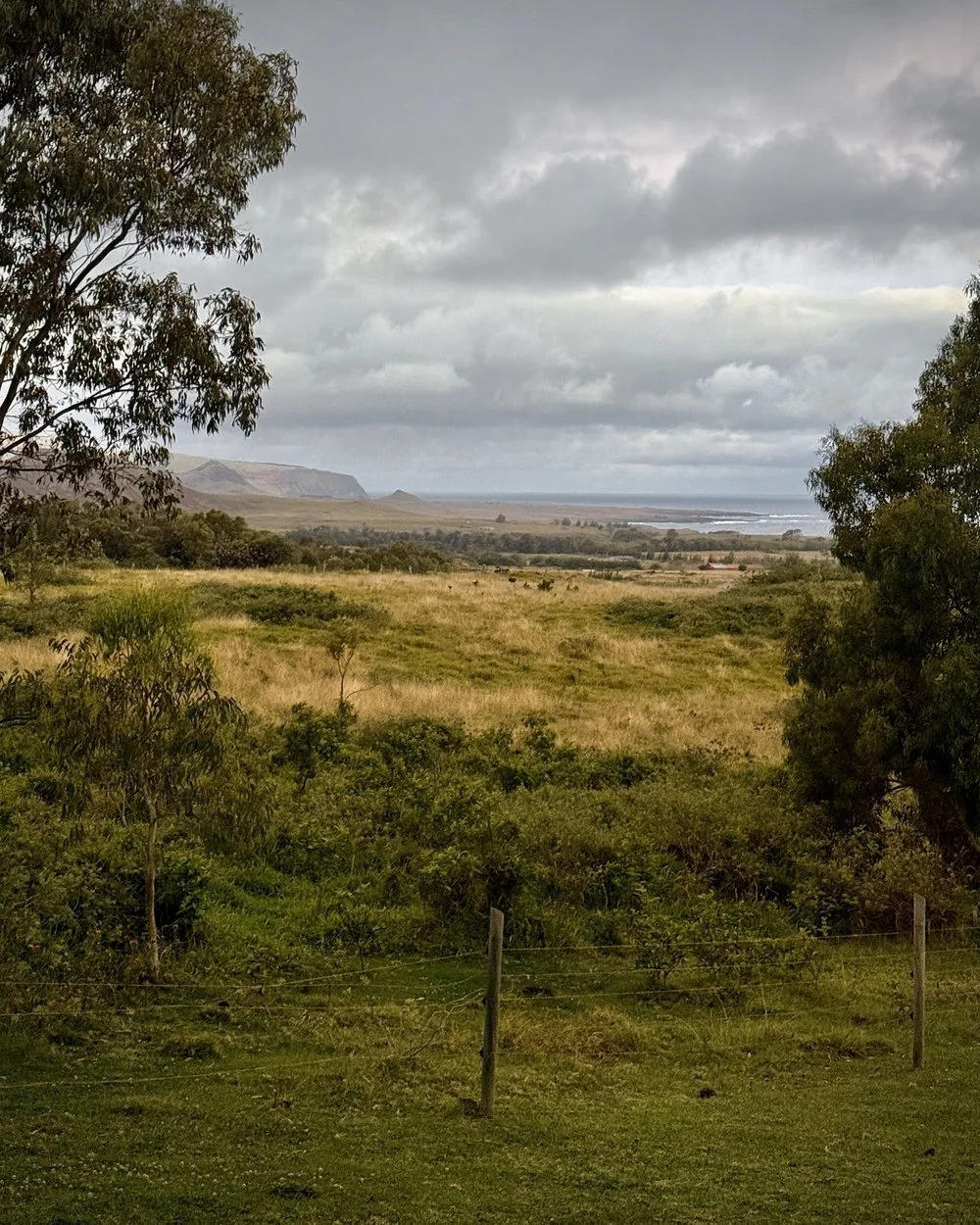 Scenic landscape with grassy fields, trees in the foreground, distant mountains, and a cloudy sky.