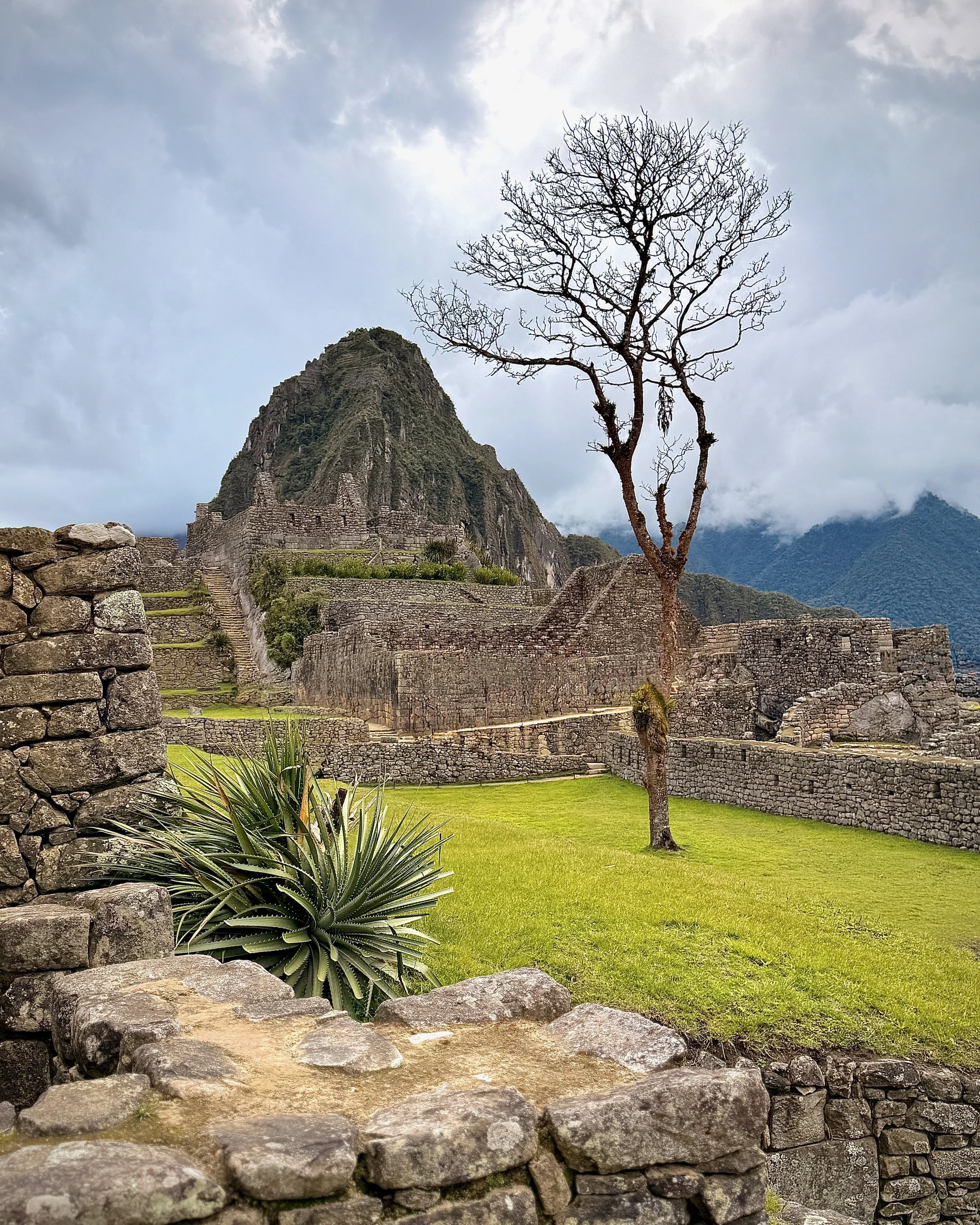 Machu Picchu