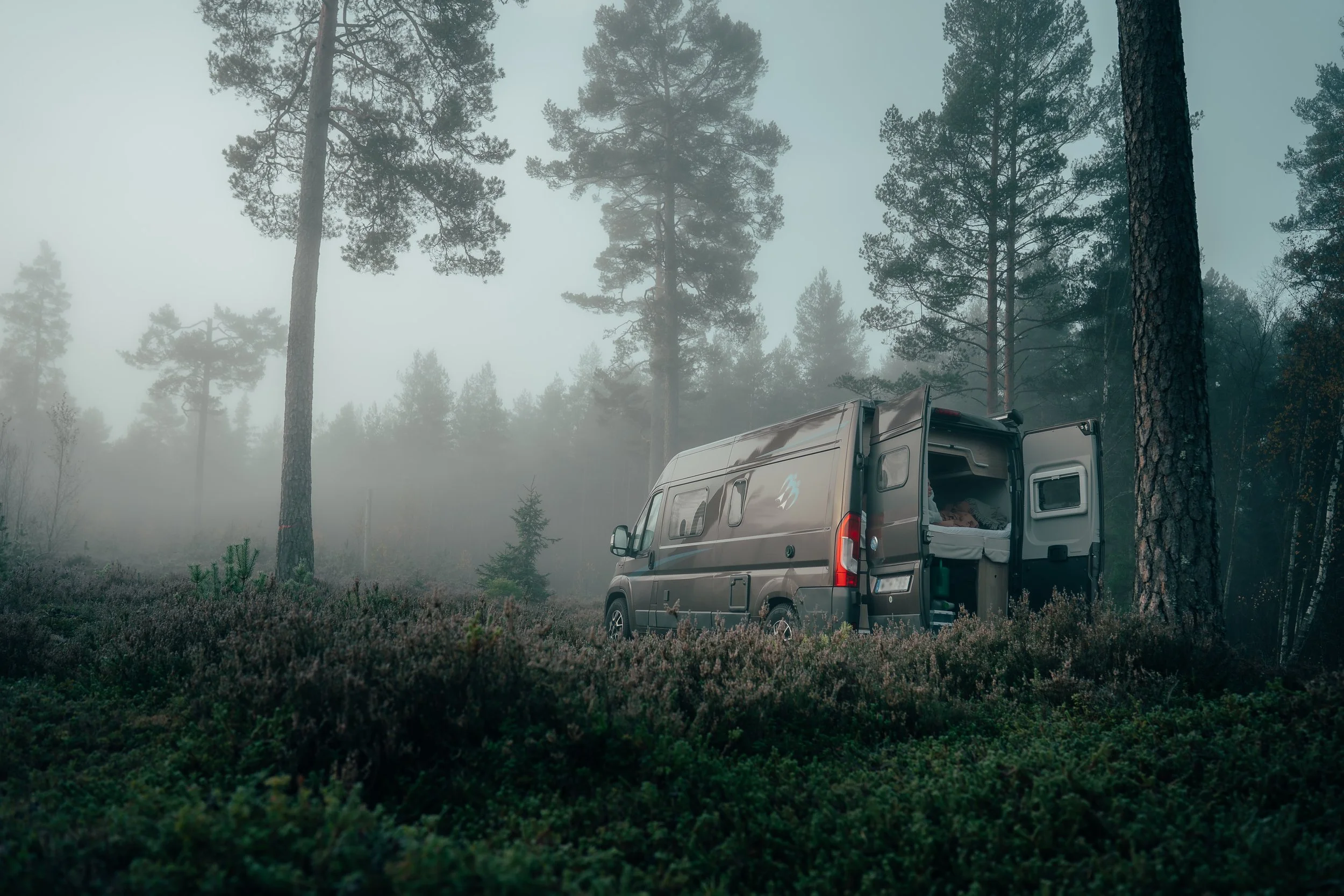 A camper van parked in a misty forest surrounded by tall pine trees.