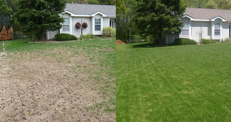 Before and after lawn aeration and restoration by BendScape Lawn Care in Bend Oregon
