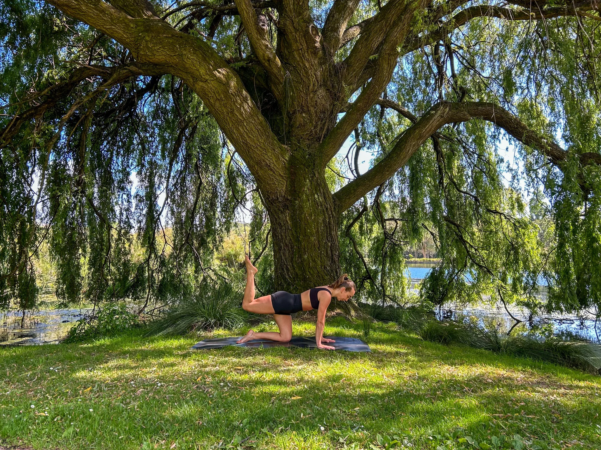 A woman practicing yoga outdoors on a black mat, positioned under a large tree by a body of water, in a grassy area with sunlight filtering through the leaves.