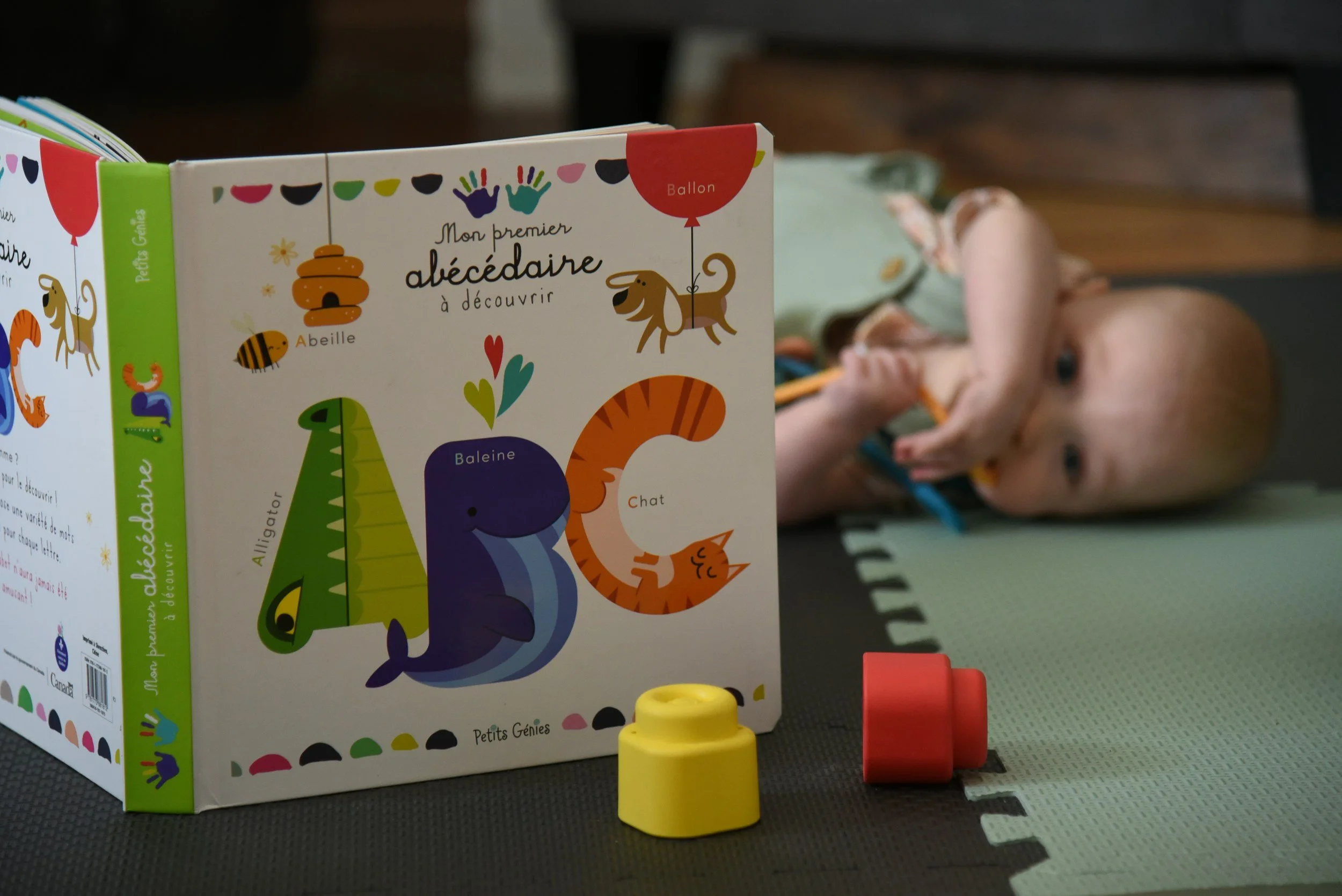 A colorful children's book titled "Mon premier abécédaire à découvrir" with illustrations of animals such as a bee, lion, whale, crocodile, cat, and butterfly on a table. A yellow and a red block toy are placed in front of the book. A baby with light skin and blonde hair is lying on a play mat in the background, holding a toy.