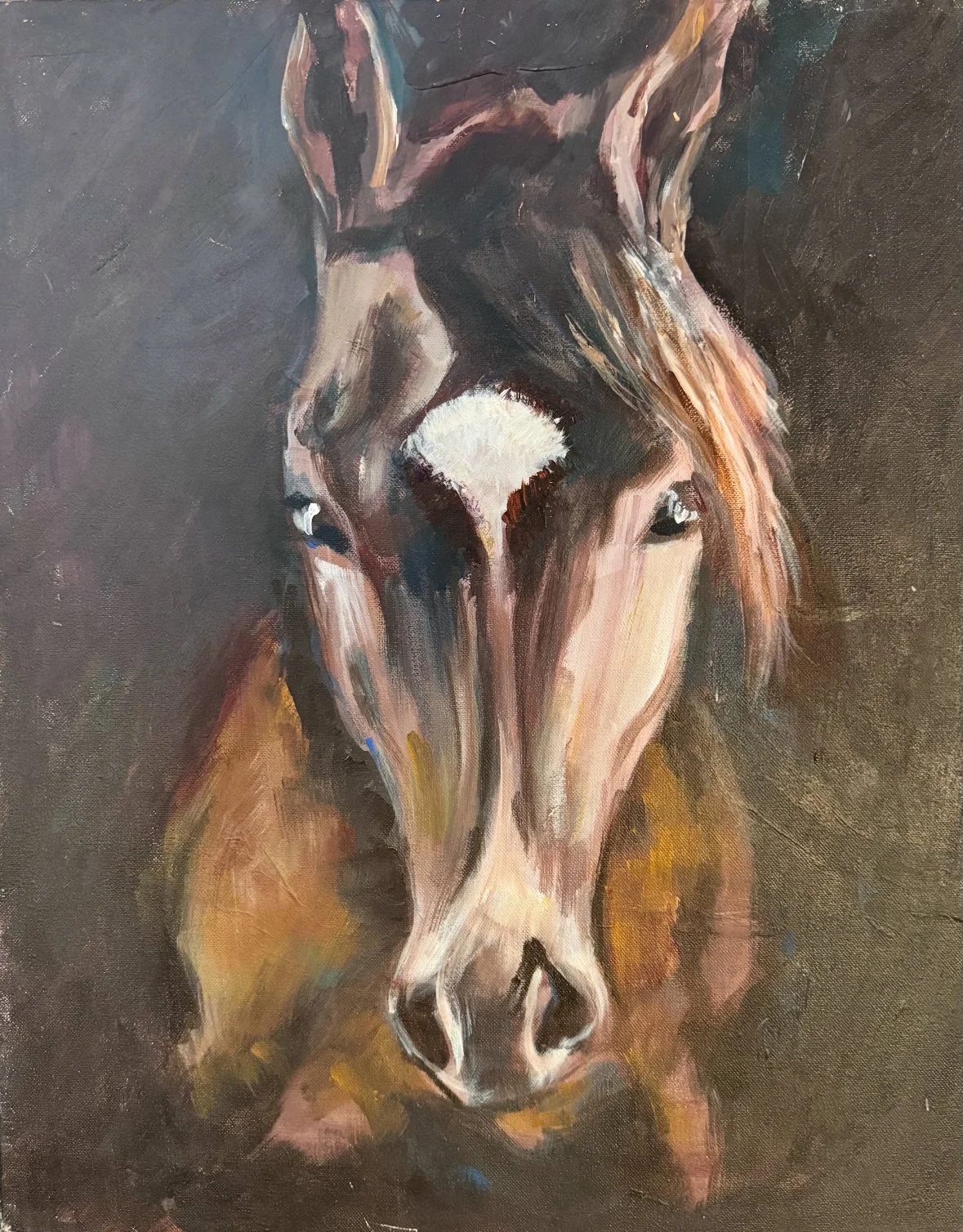 Through The Horses Eyes