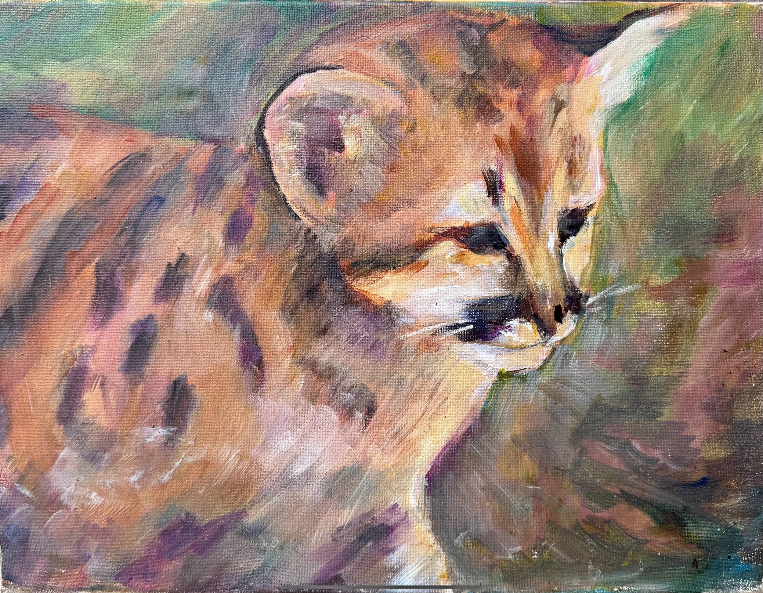 Baby Cub