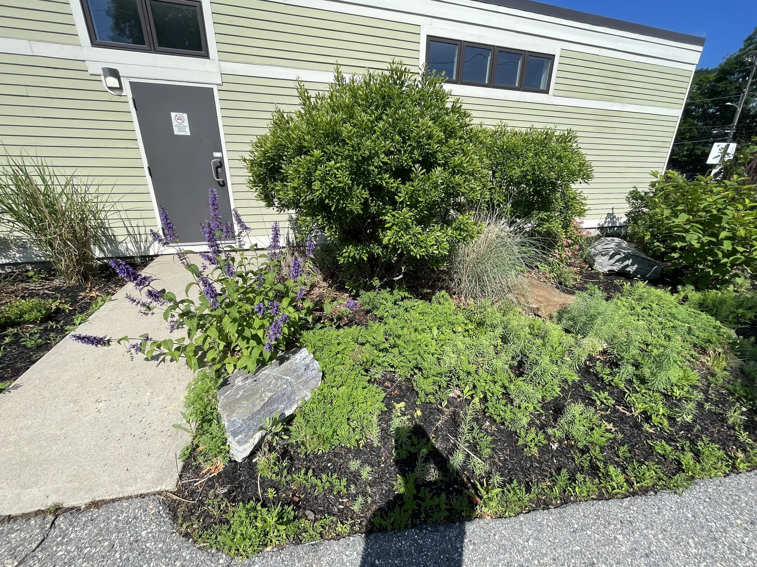 Before - Landscape Bed Design and Installation (Portland, ME)