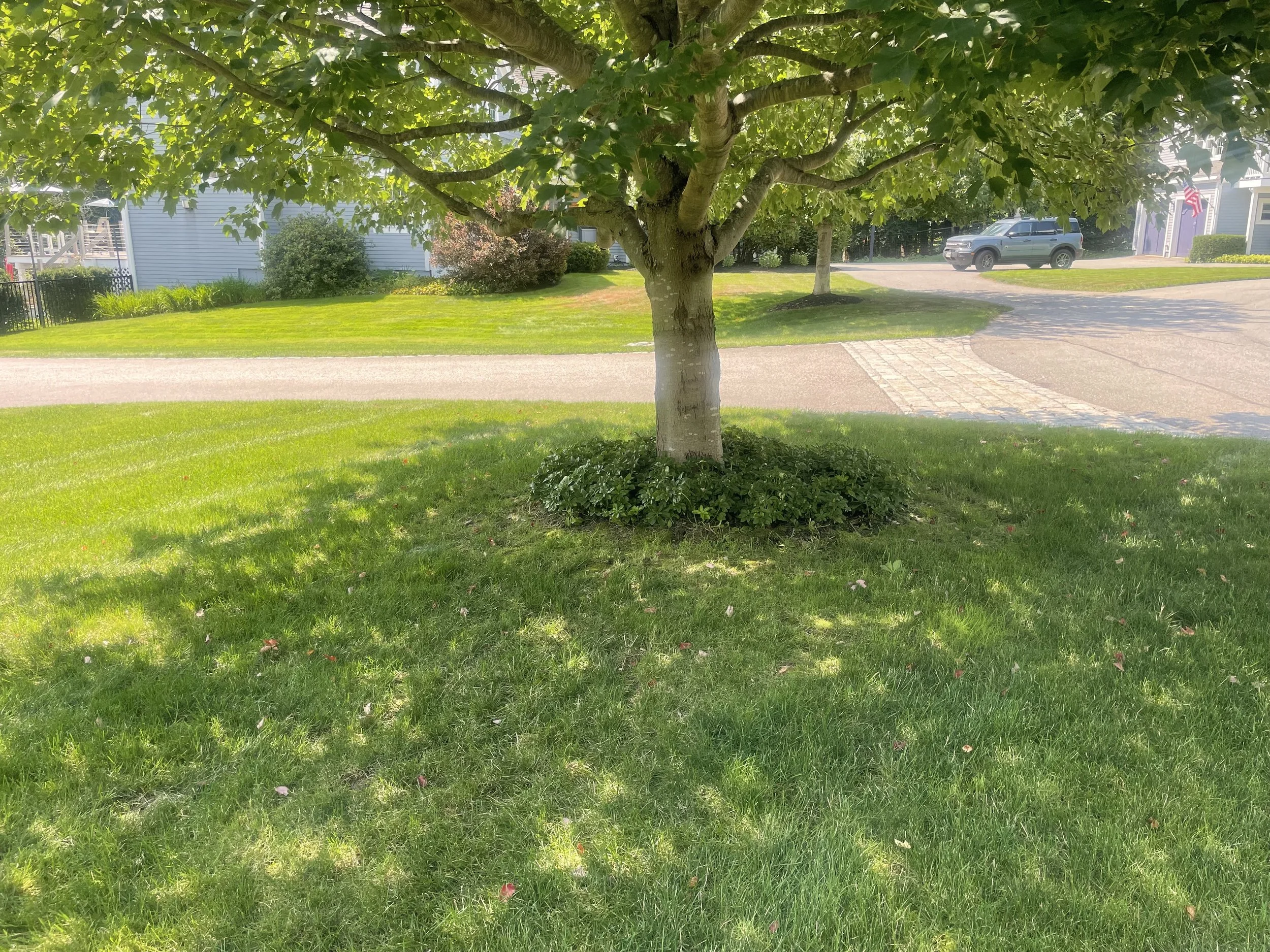 Before - Mulch Bed Expansion (Falmouth, ME)