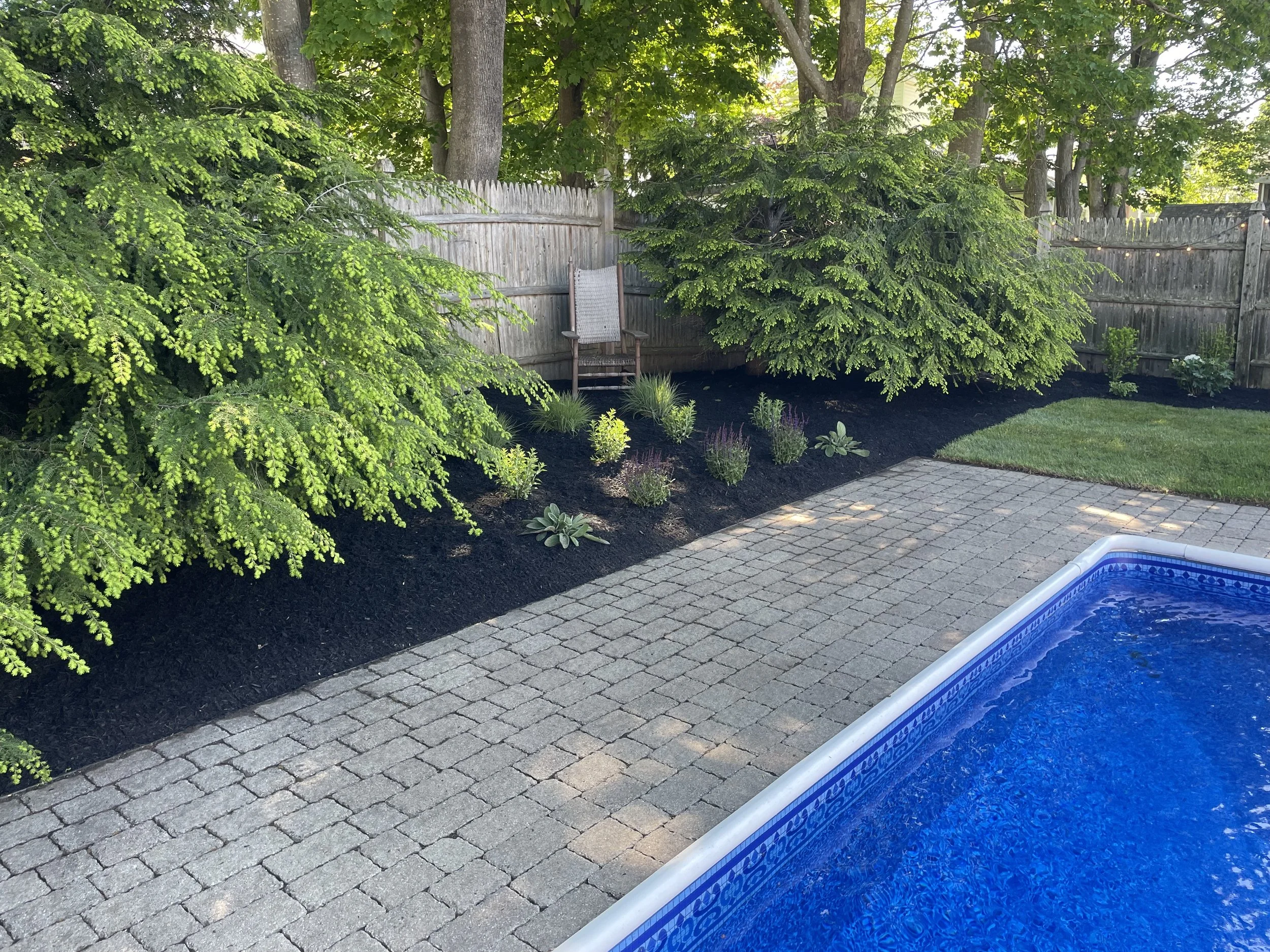 After - Complete Backyard Landscape Renovation and Sod Installation (South Portland, ME)