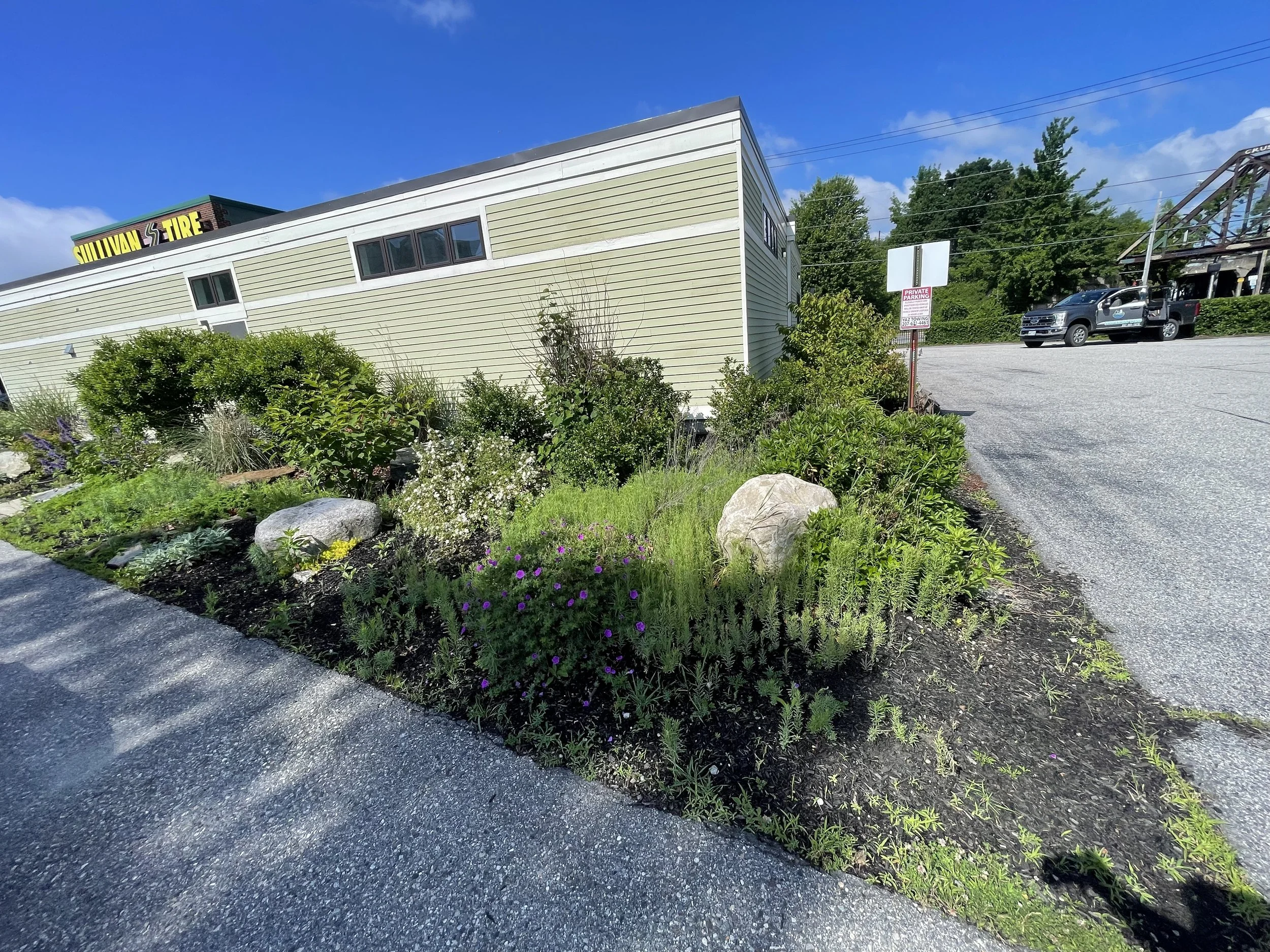 Before - Landscape Bed Design and Installation (Portland, ME)