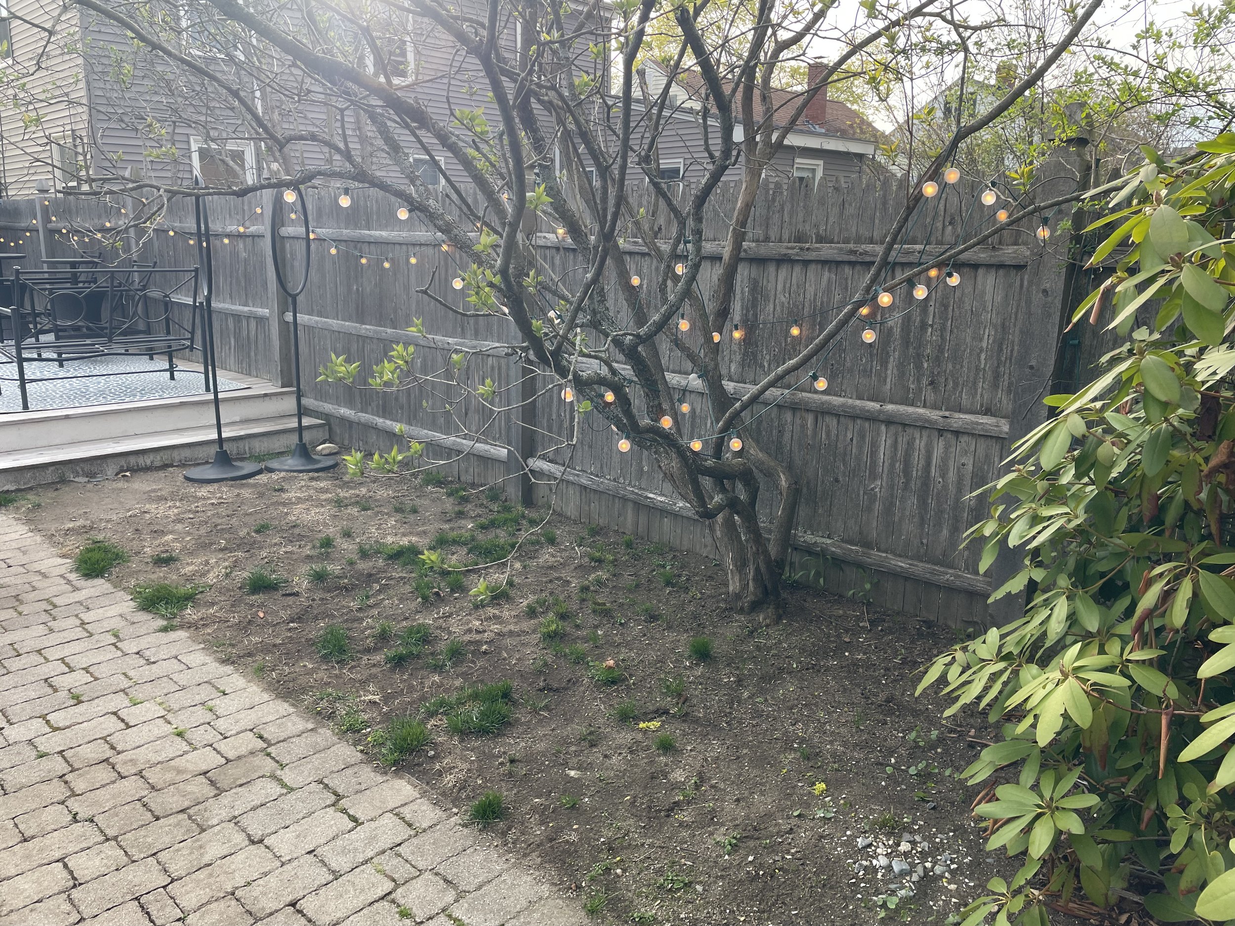 Before - Complete Backyard Landscape Renovation and Sod Installation (South Portland, ME)