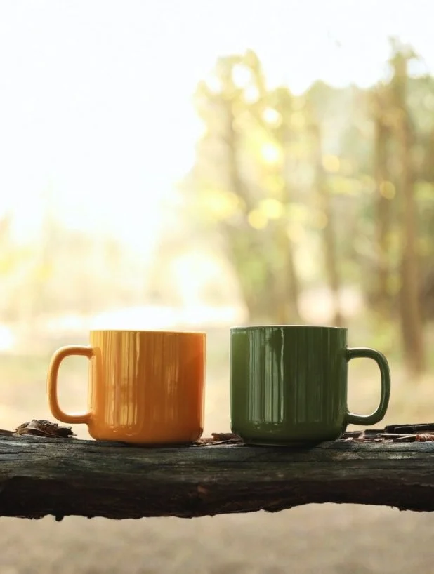 Warm, sunlit scene representing a relaxed and friendly 30-minute website consultation with Hannah at FenViolet