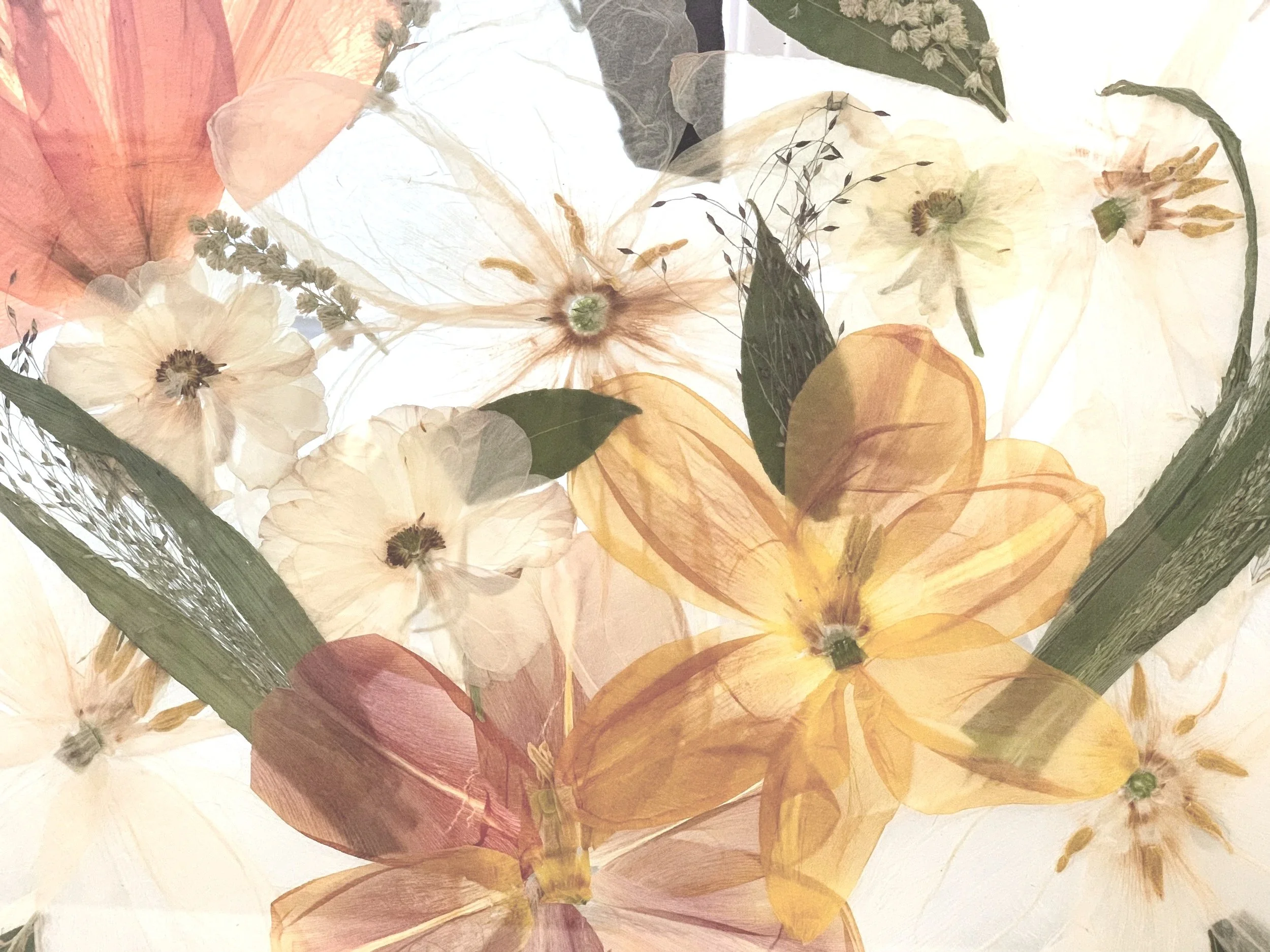 A close-up of pressed and layered dried flowers in various colors, including white, yellow, pink, and green, creating a textured, floral collage.