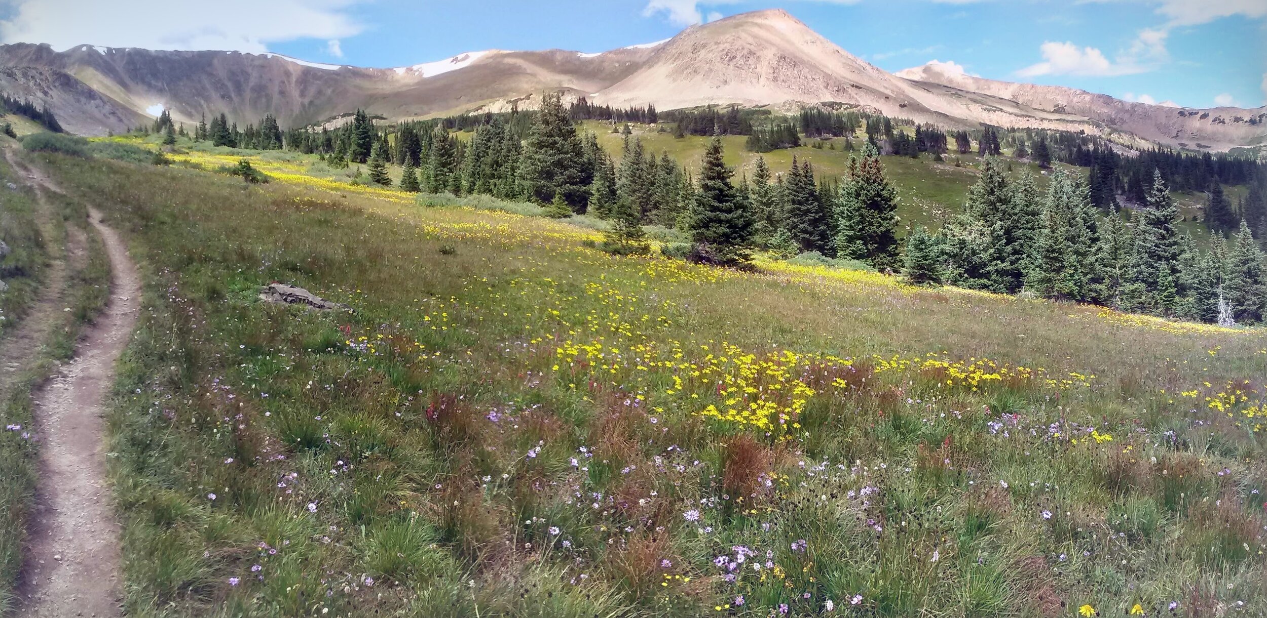 CAM00134-PANO-heather.jpg