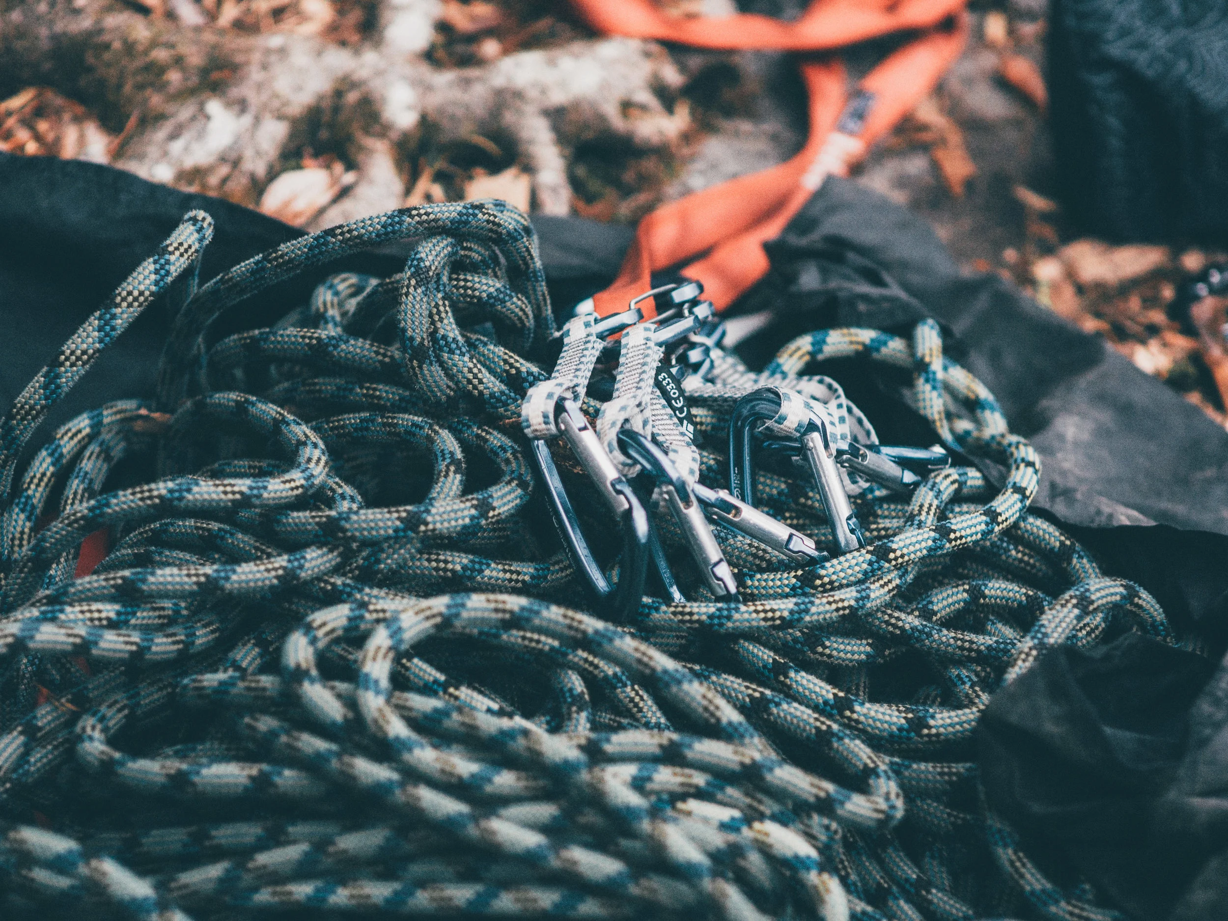 kody-dahl-536047-unsplash.jpg