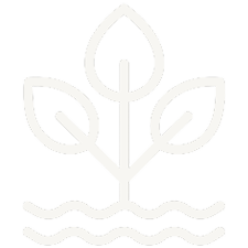 A line drawing of a plant with three leaves, roots, and wavy water lines beneath it.