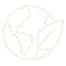 Icon of the Earth with a leaf, representing environmental conservation or eco-friendliness.