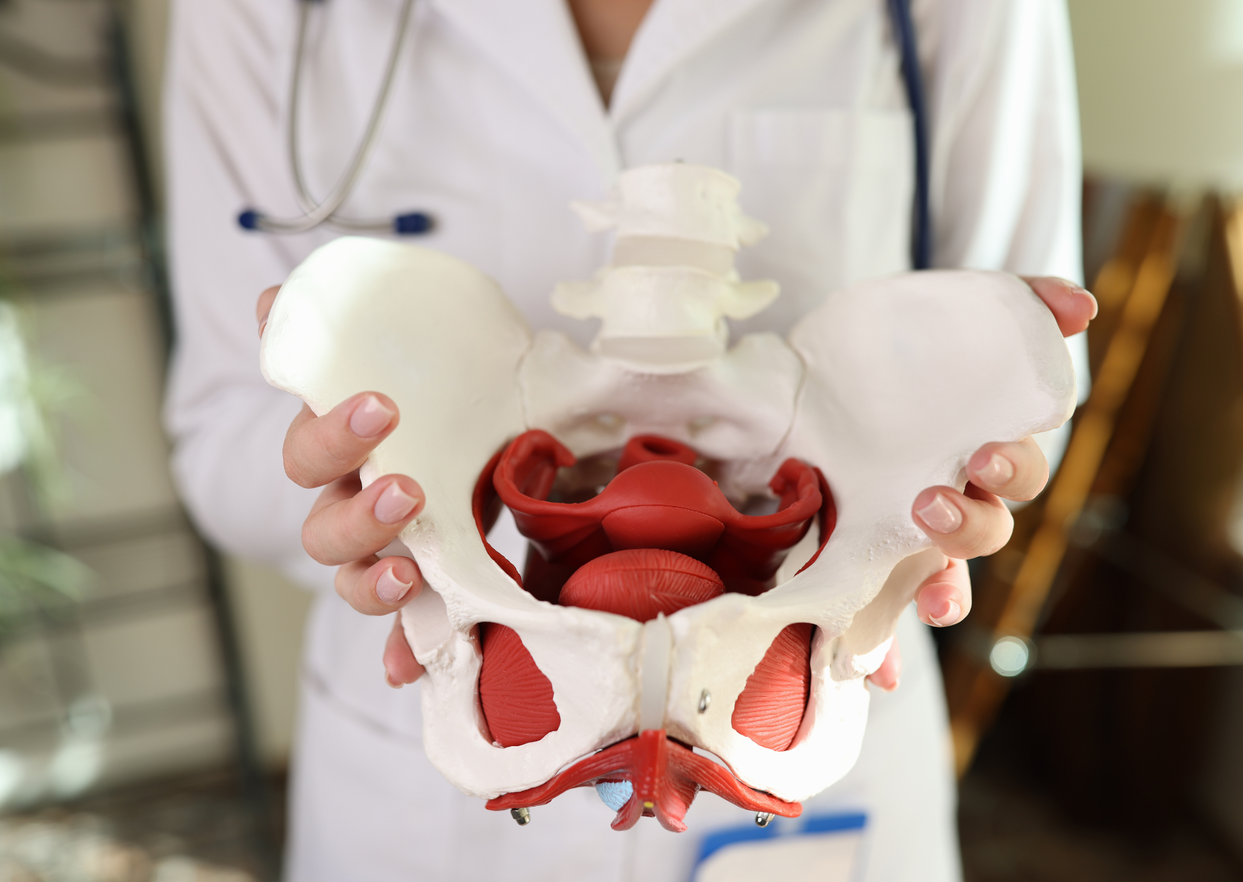 What Actually Happens at Your First Pelvic Health Appointment?