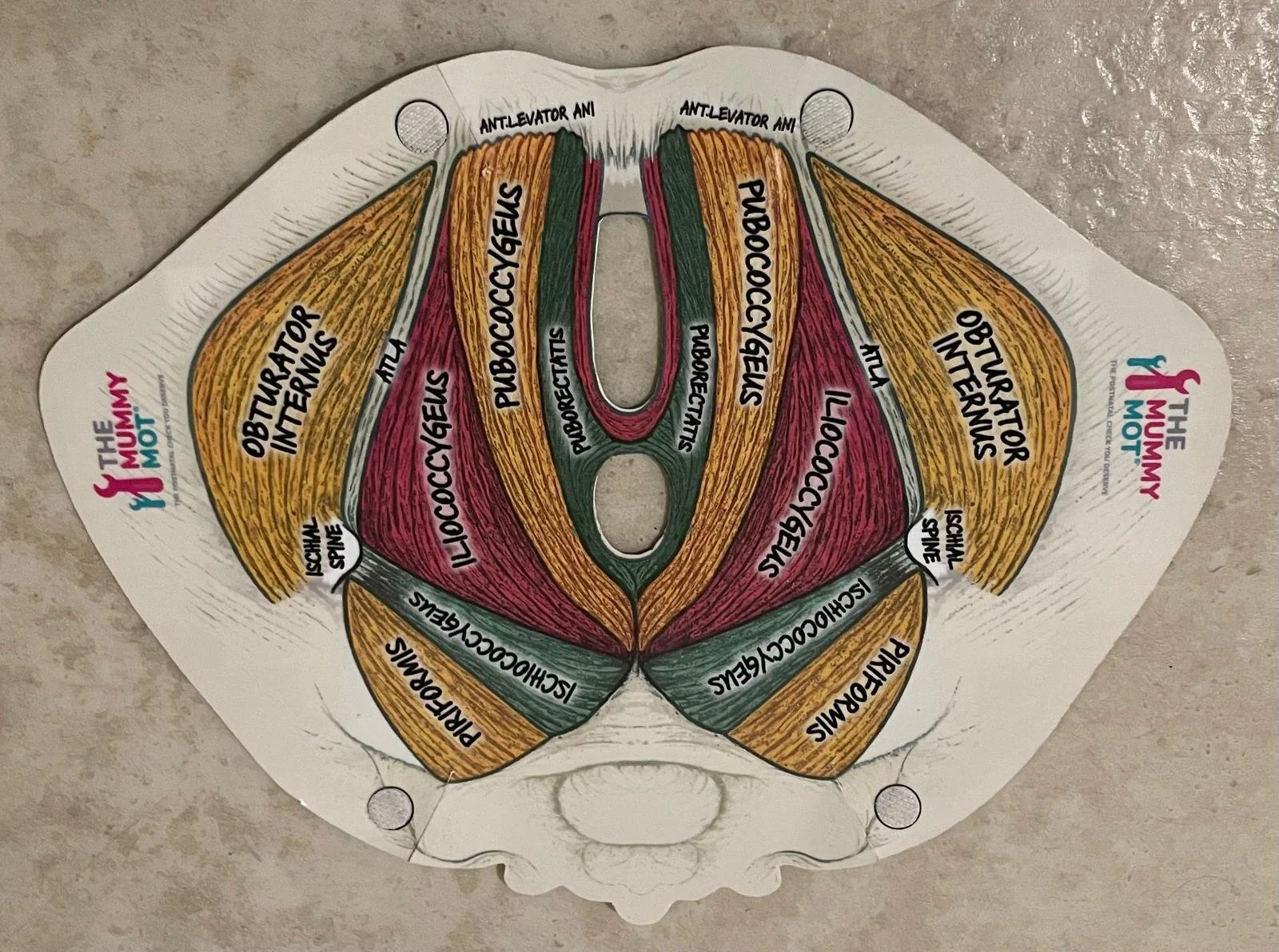 Perineal Massage: What It Is, Why It Matters, and Why Getting It Right Is Important?