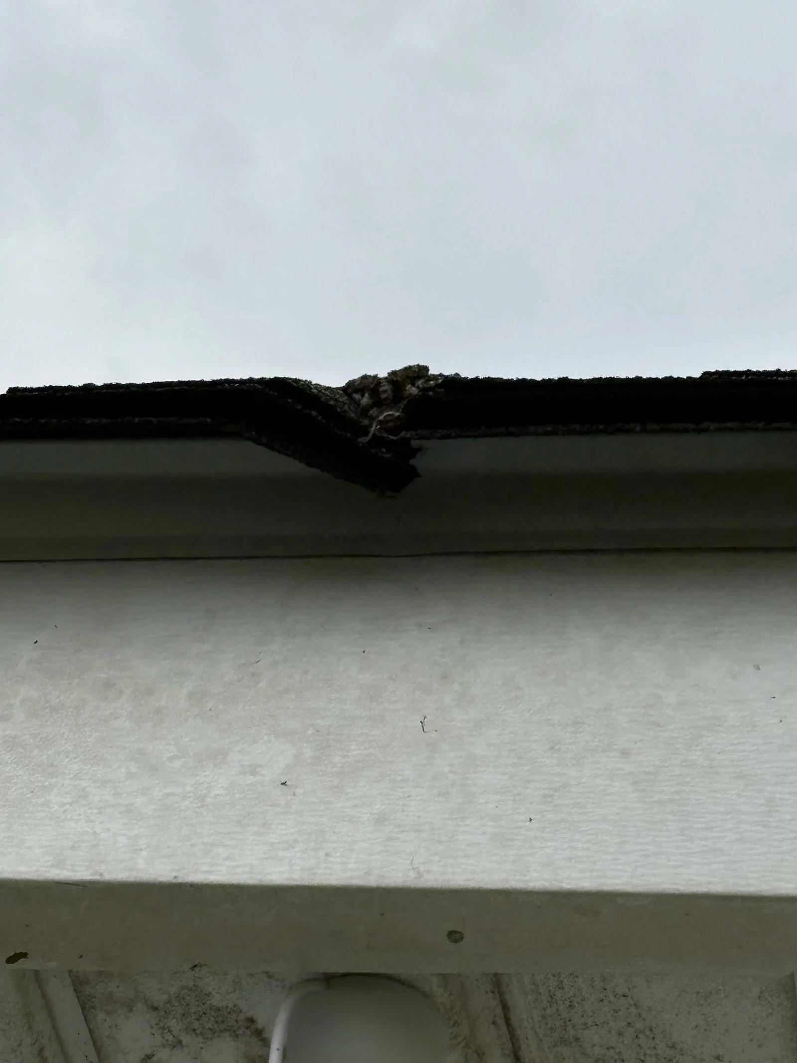 Signs Your Roof Has Storm or Hail Damage (and What to Do Next)
