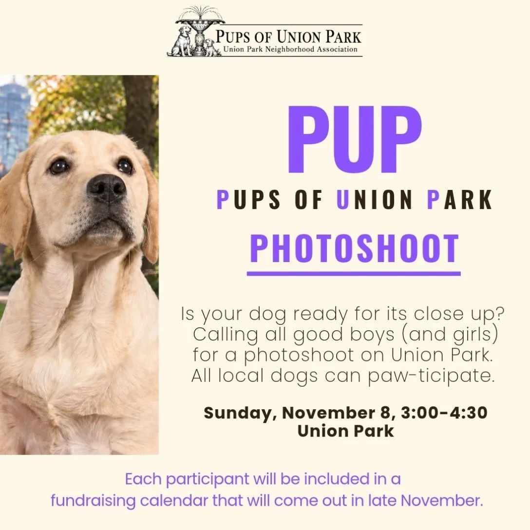 We are looking for local dogs who are interested in having their moment in the spotlight. Does your furry friend show pet-tential? Join us in Union Park on November 8th for a photo shoot. You can drop in from 3 - 4:30 pm.

If you want to participate 