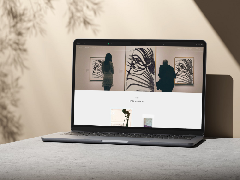 DOK ART _ Website and Ecommerce.png