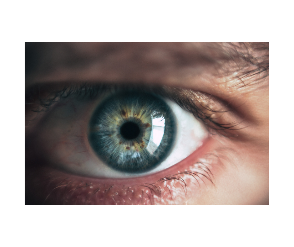 EMDR Session (Virtual)