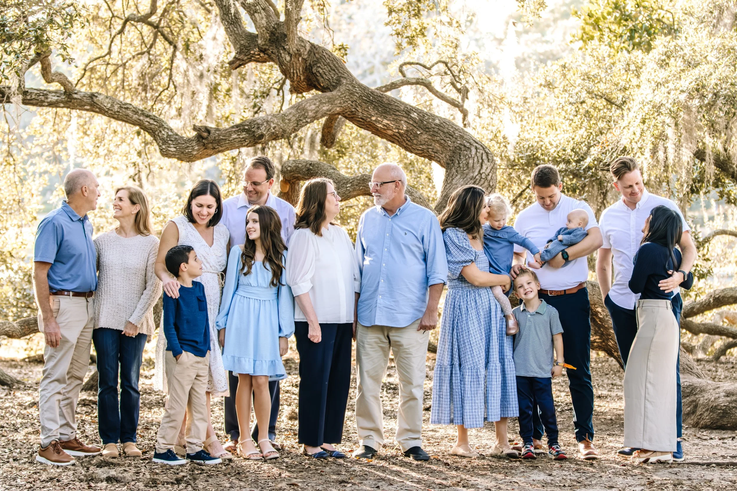 Family group photo outdoors in front of a large tree with sunlight filtering through the leaves, consisting of multiple generations including children, teenagers, adults, and elderly members, all smiling and enjoying the moment.