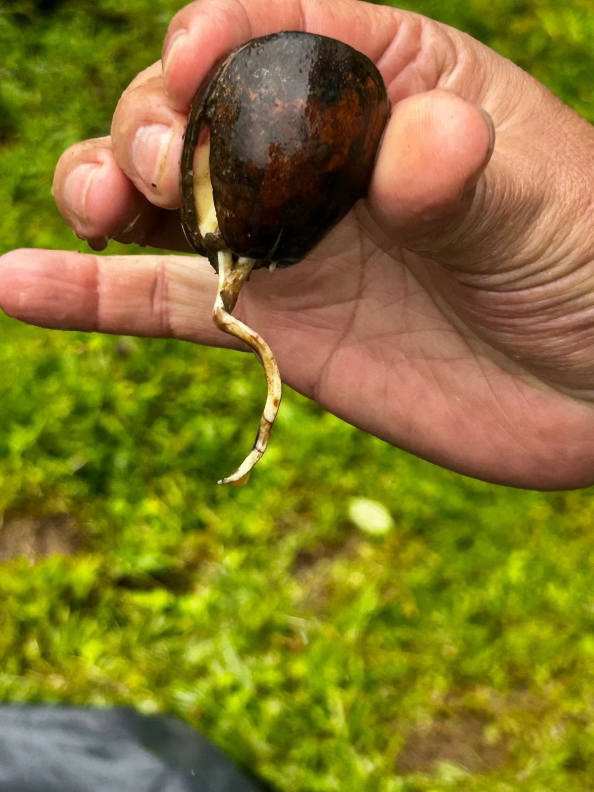 WhatsApp Image 2025-12-16 at 11.42.57 AM (1).jpeg