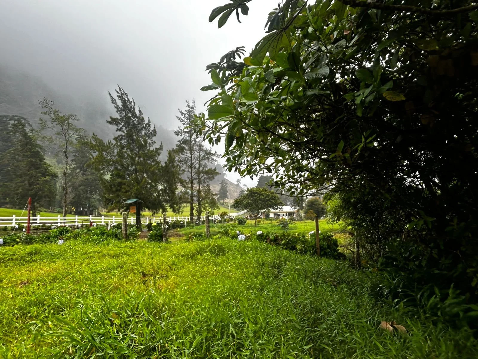 WhatsApp Image 2025-12-16 at 11.41.20 AM.jpeg