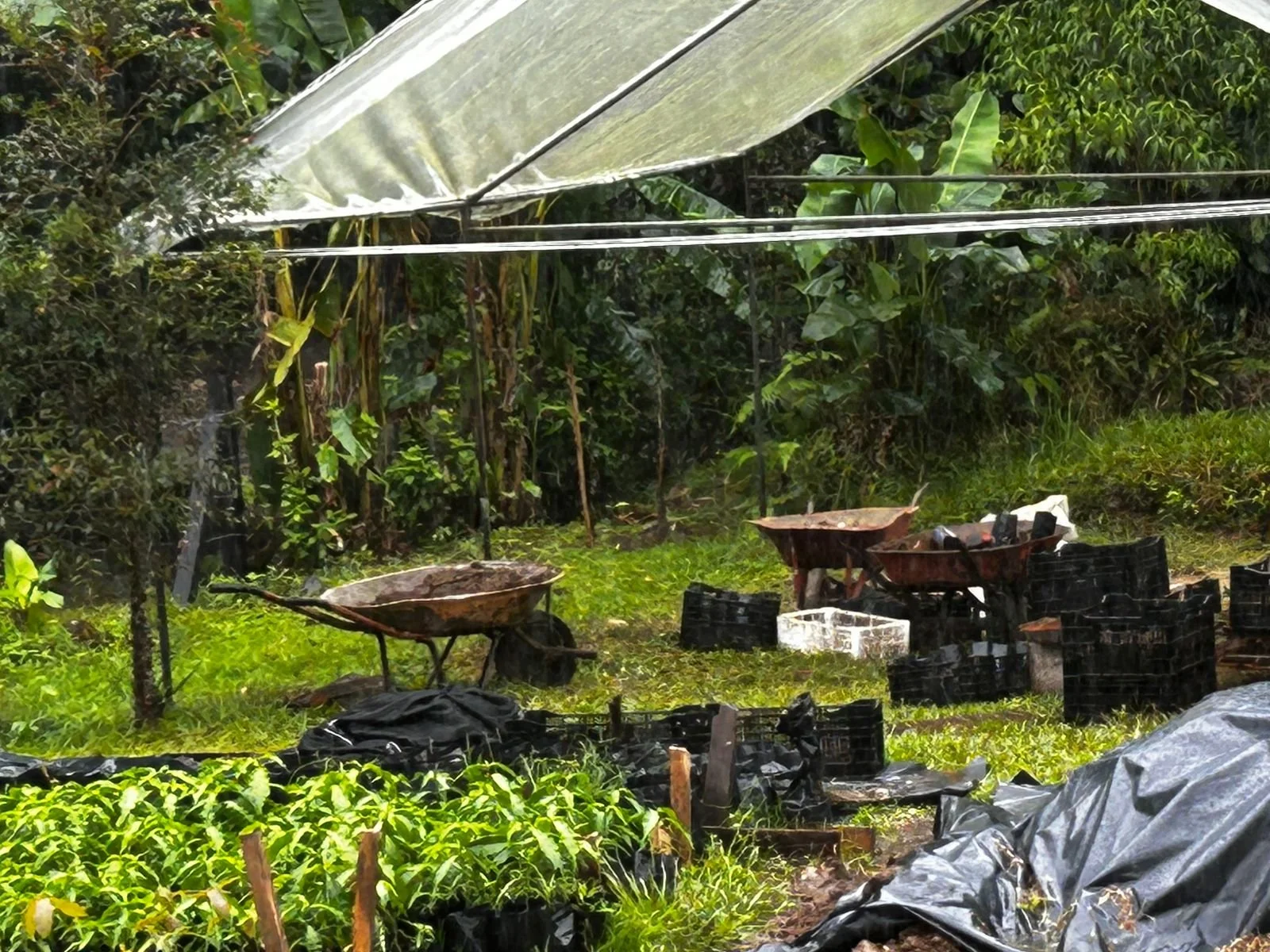 WhatsApp Image 2025-12-16 at 11.42.59 AM (1).jpeg