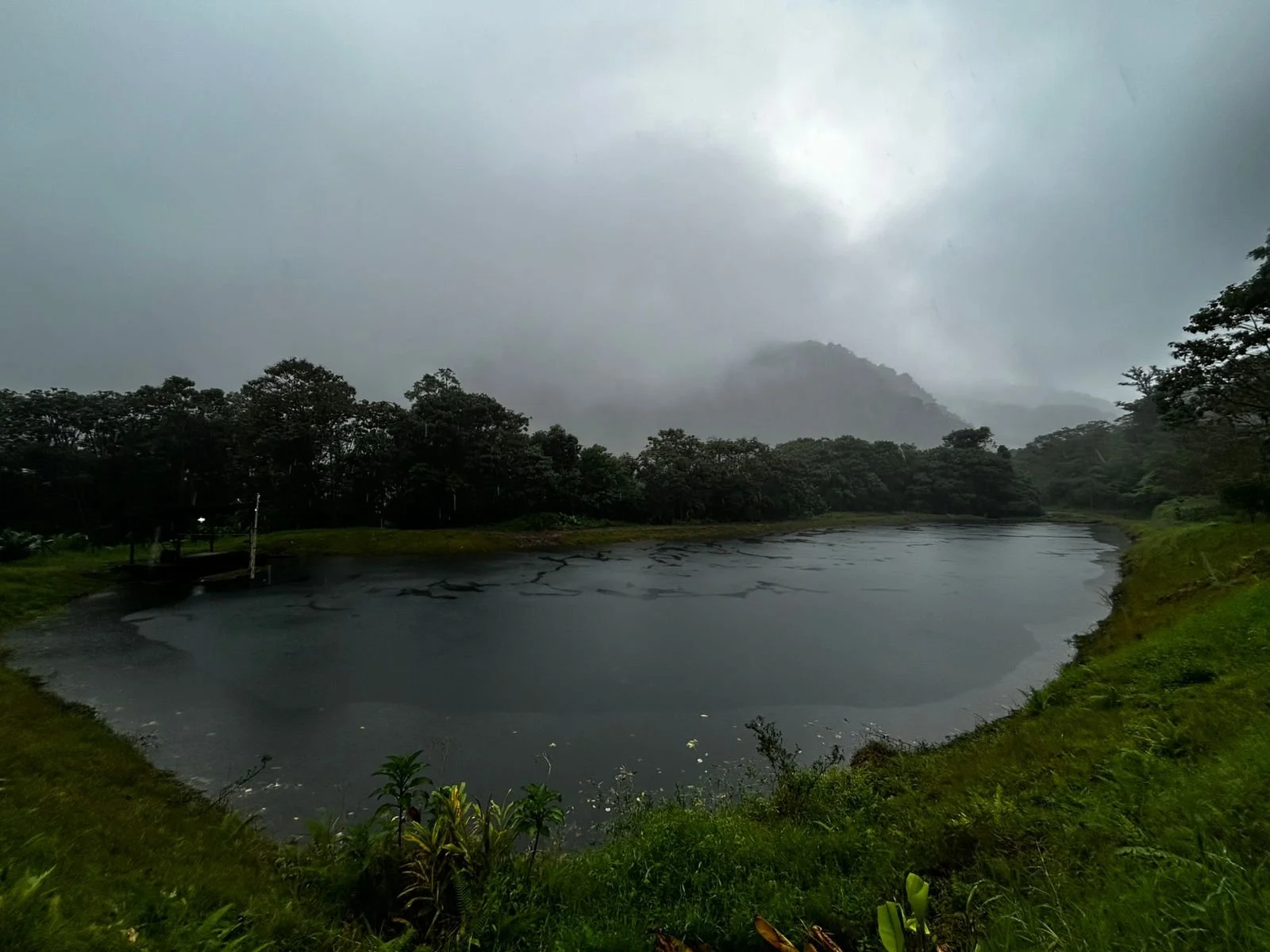 WhatsApp Image 2025-12-16 at 11.43.00 AM (6).jpeg