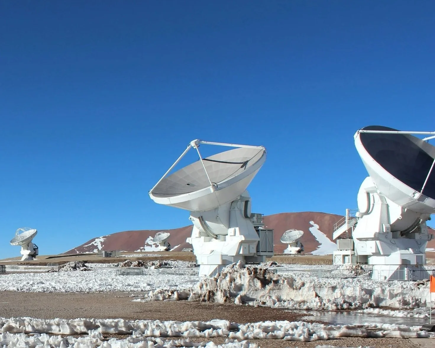 Nace la Sociedad Internacional de Investigadores de Chile (SICH)