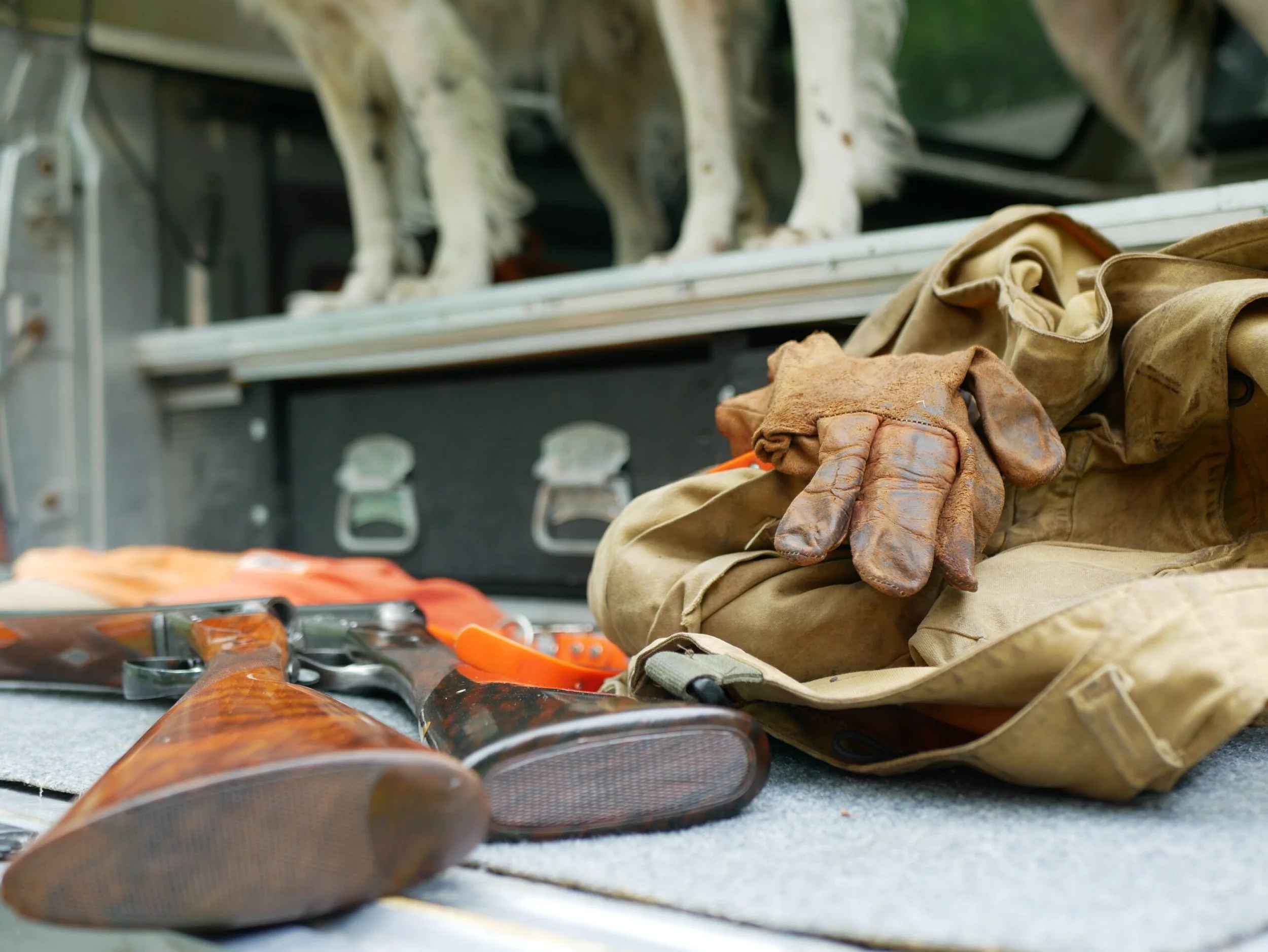 Upland Bird Hunting Experience
