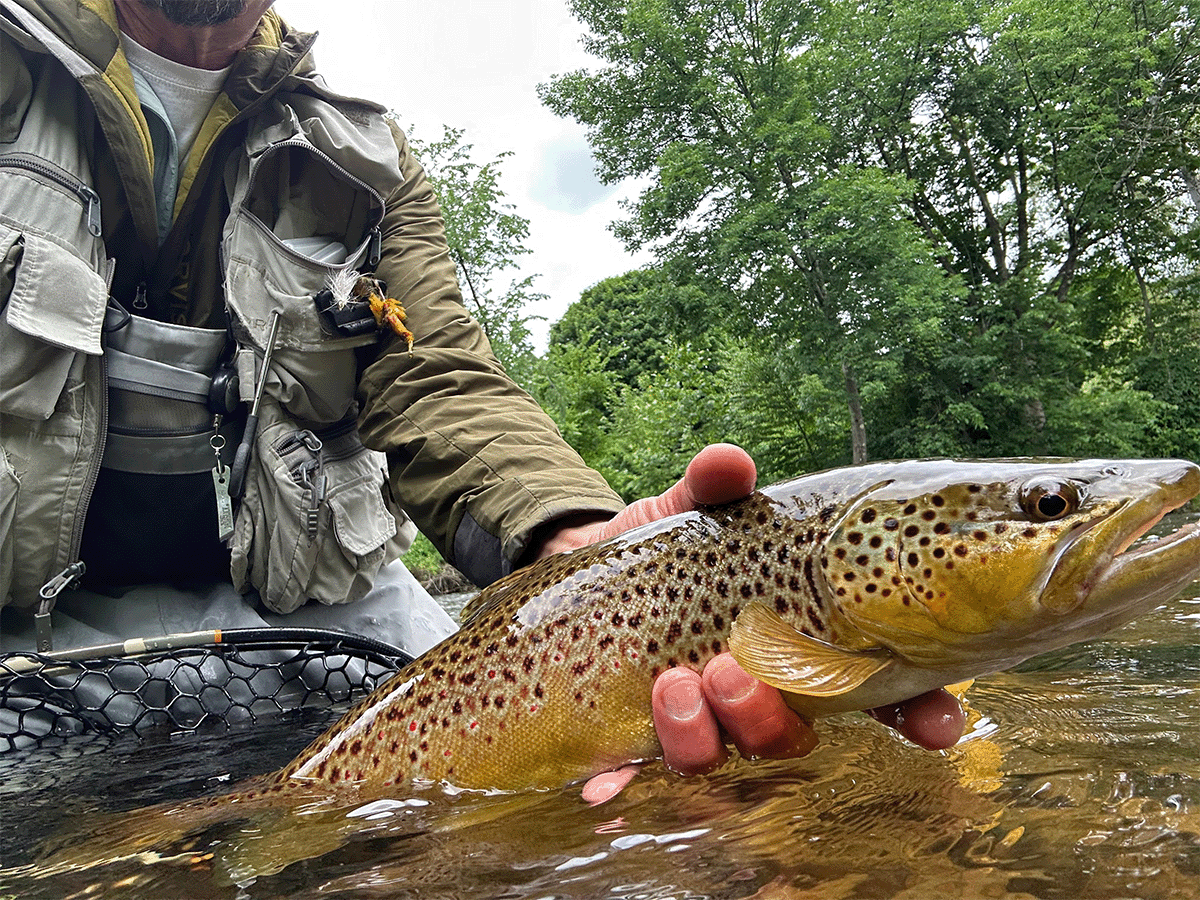 Vermont Fly Fishing on the Battenkill