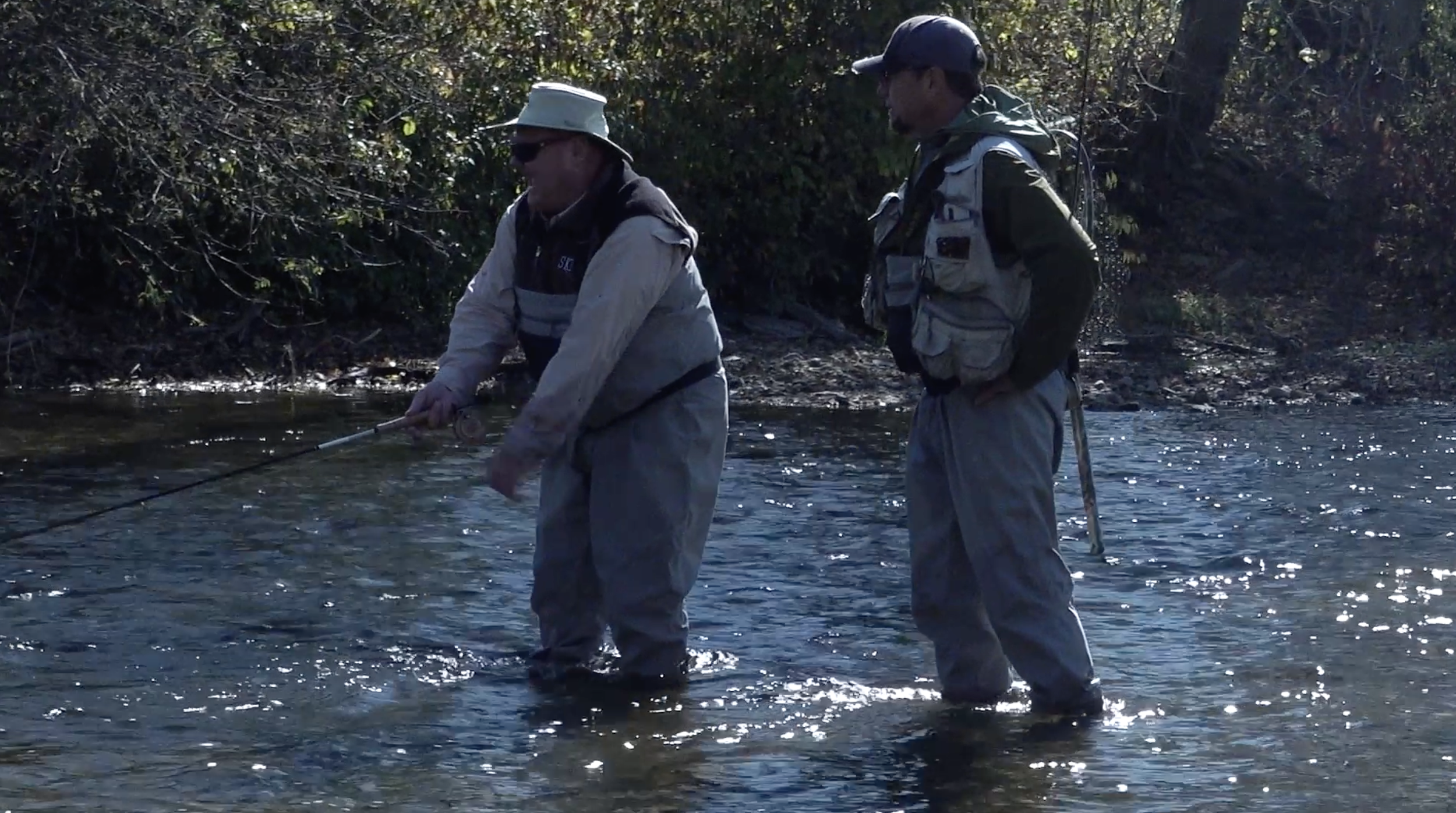 Screenshot 2026-02-08 at 4.56.25 PM.png