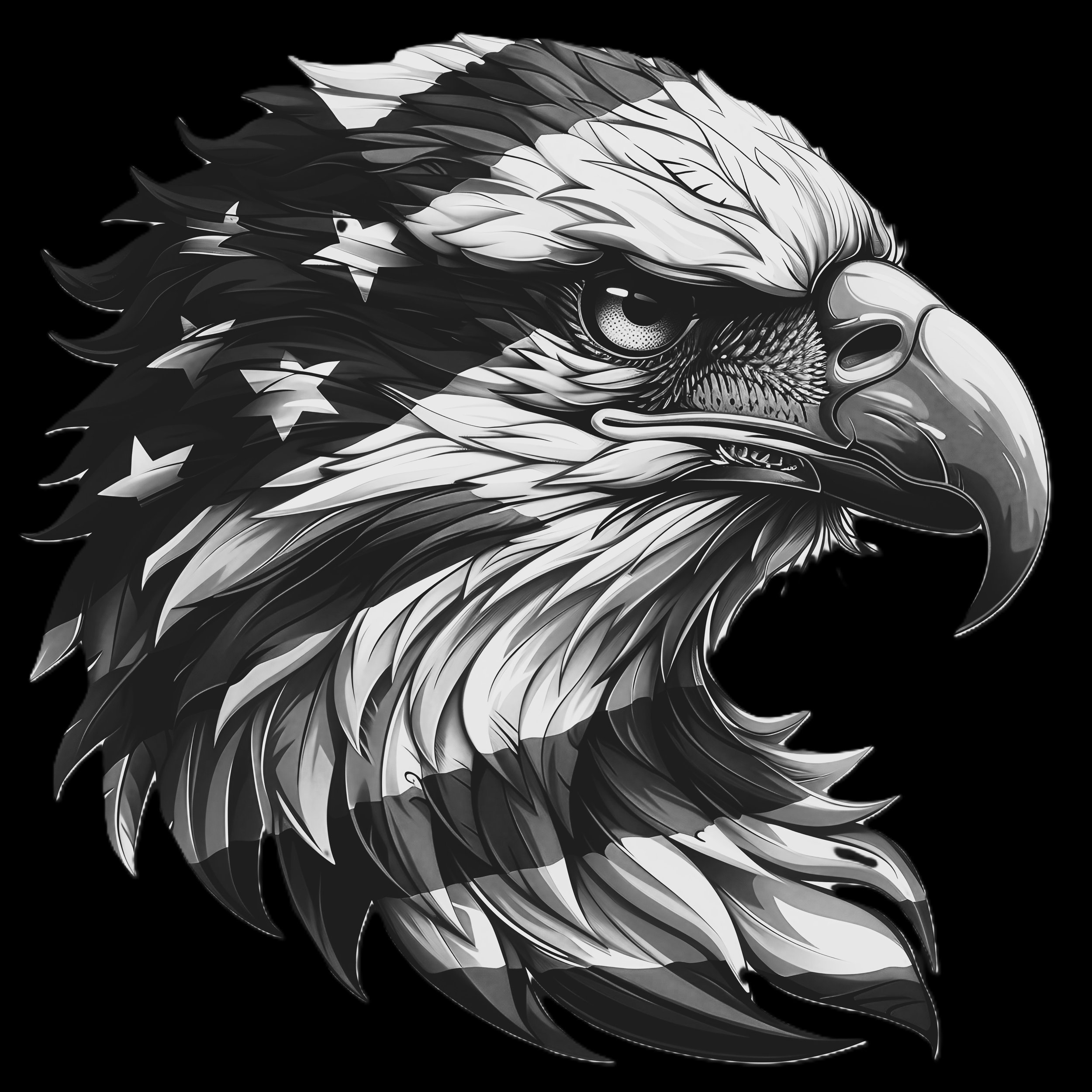 USA EAGLE (2).jpg