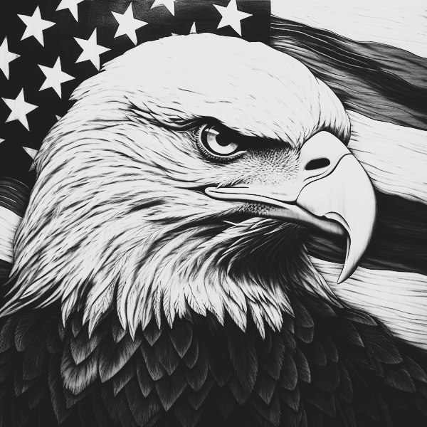 USA EAGLE (18).png