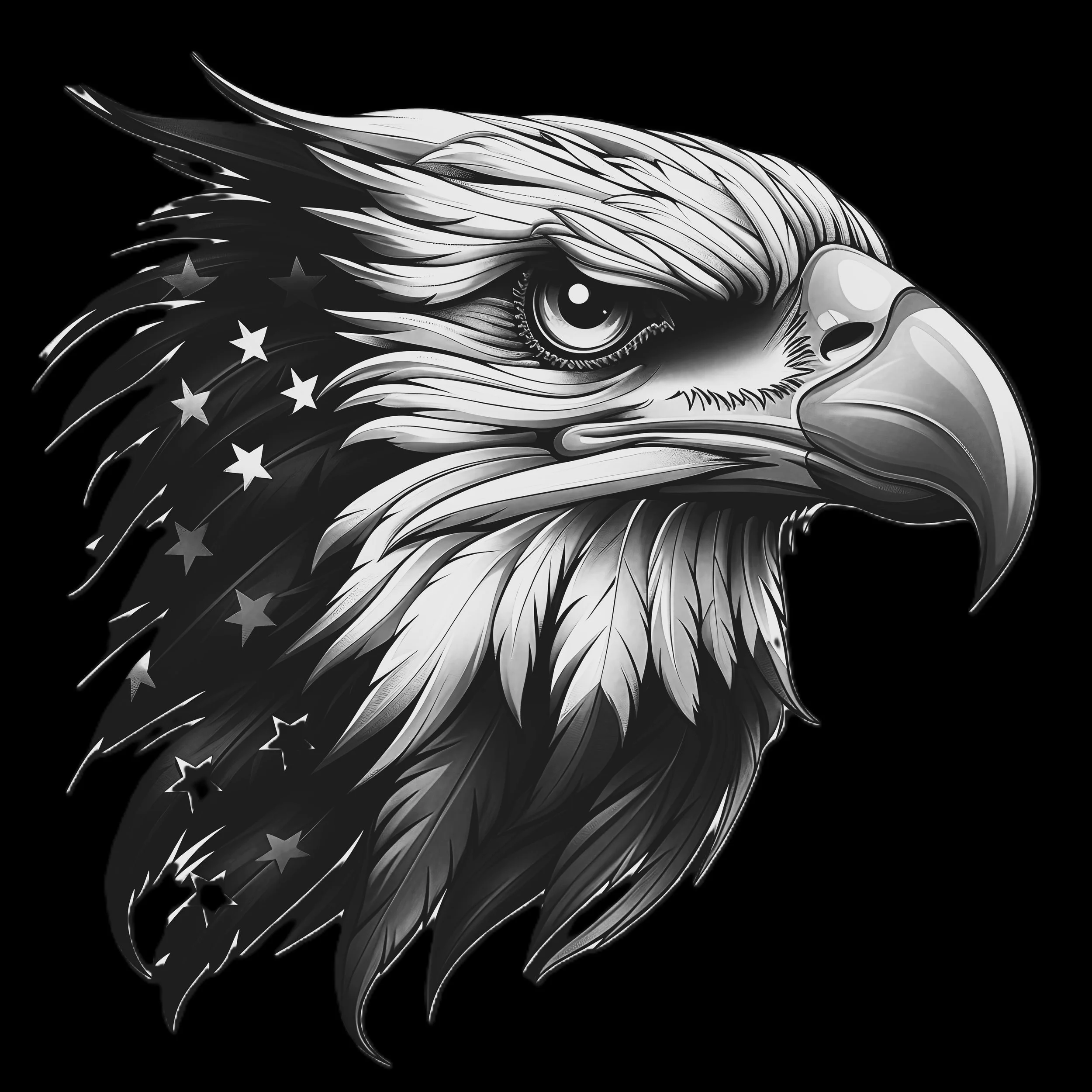 USA EAGLE (10).jpg