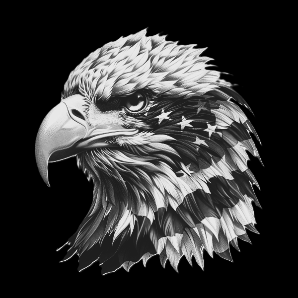 USA EAGLE (14).png