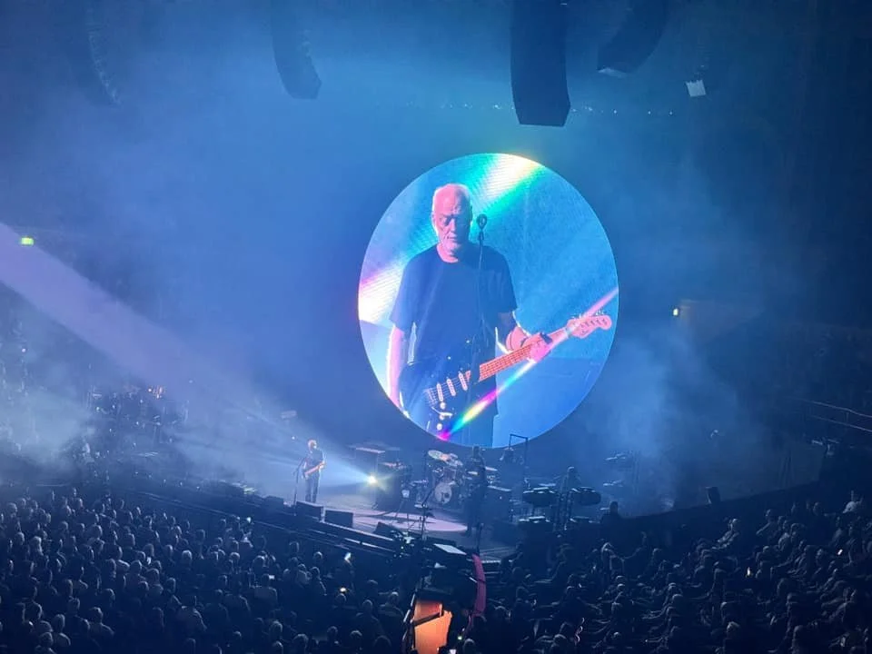 223. David Gilmour