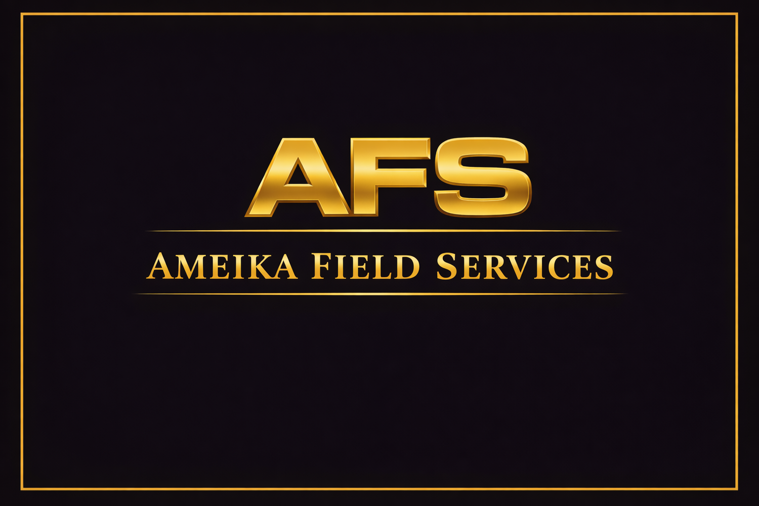 Ameika Field Services 