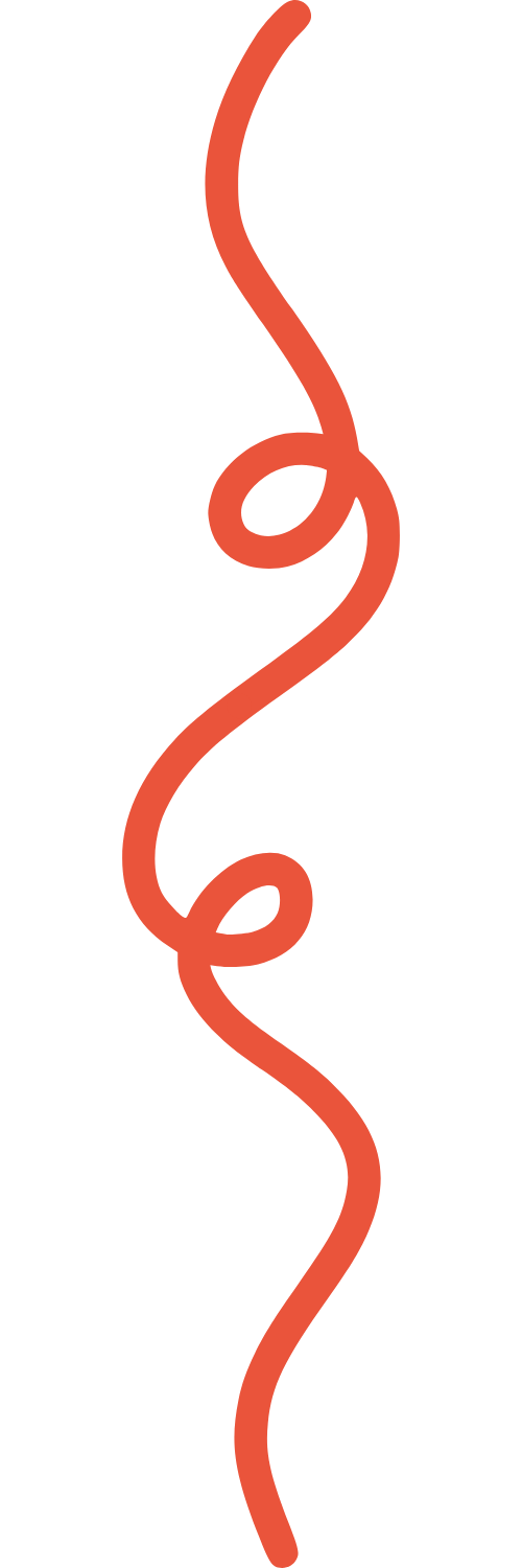A winding, looping line suggesting a non-linear path through complexity