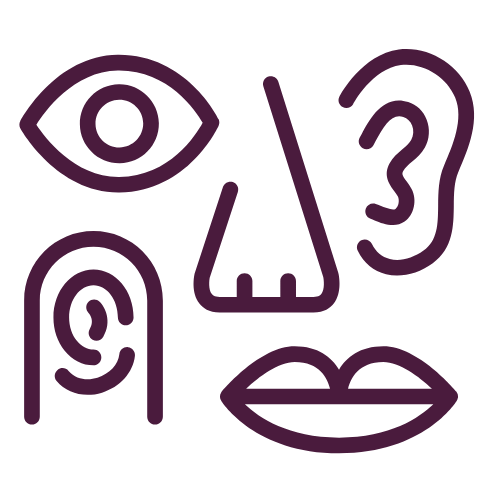Five senses - eye, ear, fingerprint, nose, and mouth representing sensory research