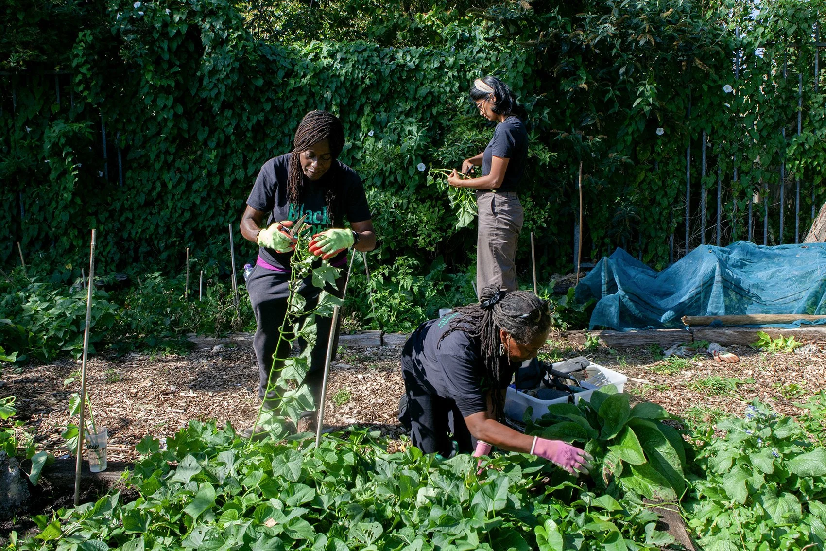 Black-Rootz-sisters-at-Wolves-Lane-Centre-©-Arpita-Shah_bew (1).jpg