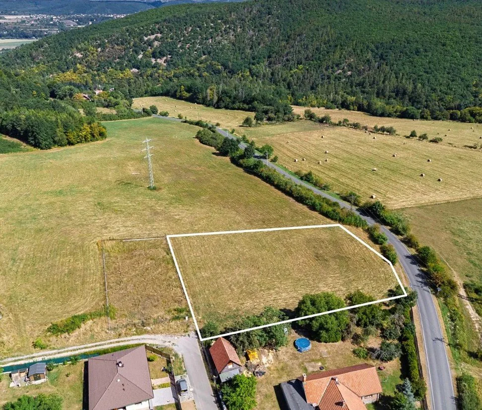 A rural landscape with a large grassy field marked by white boundary lines, adjacent to a small residential area with houses, trees, and a pool, with a road running alongside and a forested hill in the background.