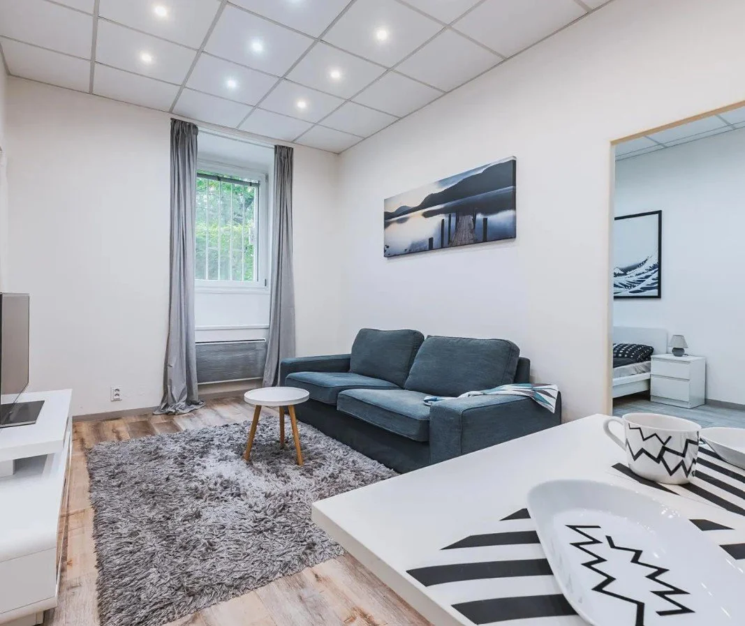 Living room with a gray couch, a small white round table, a gray shaggy rug, and a window with gray curtains, adjacent to a bedroom.