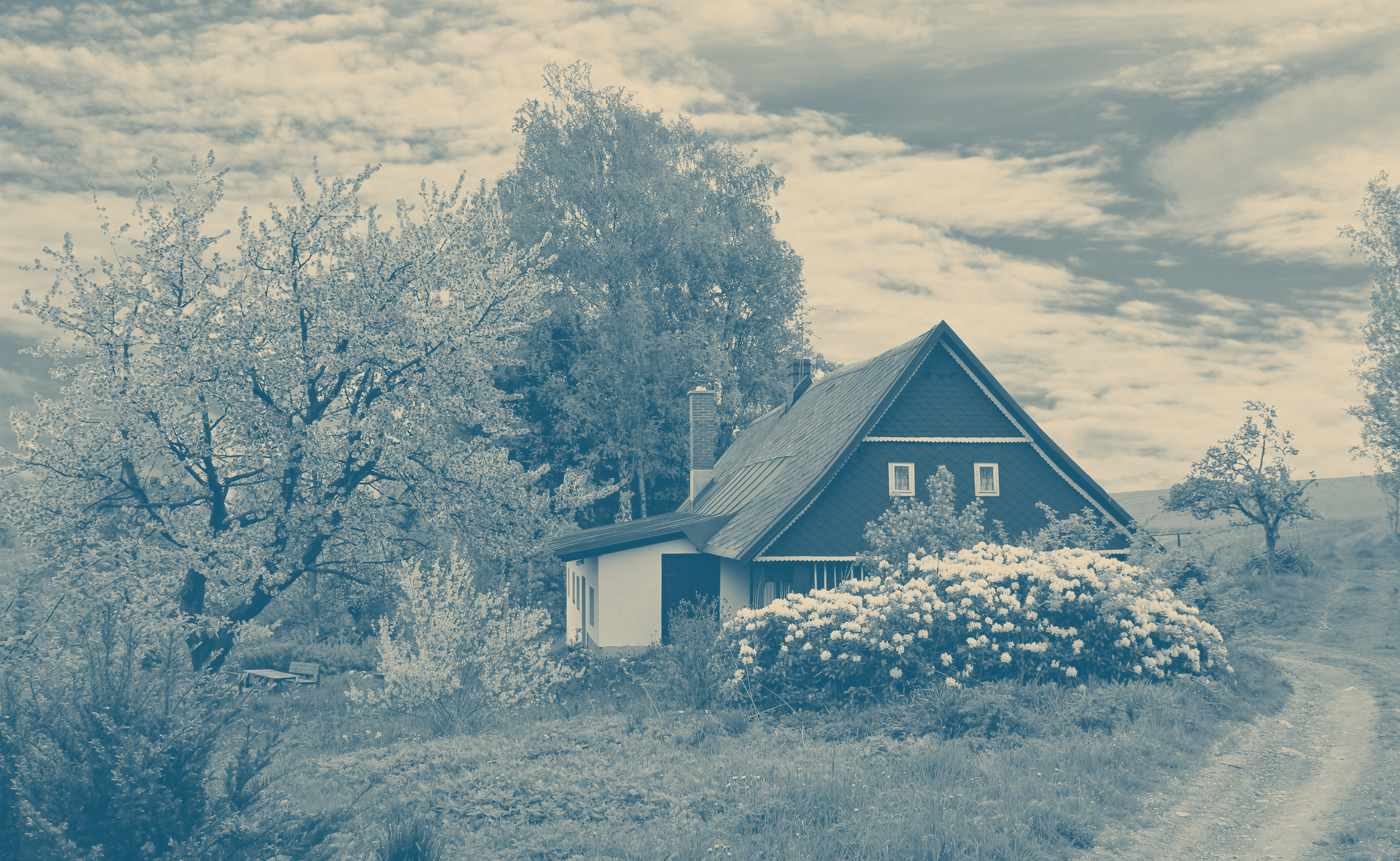 A house surrounded by blooming trees and bushes on a rural landscape, with a dirt path leading to the house under a partly cloudy sky.