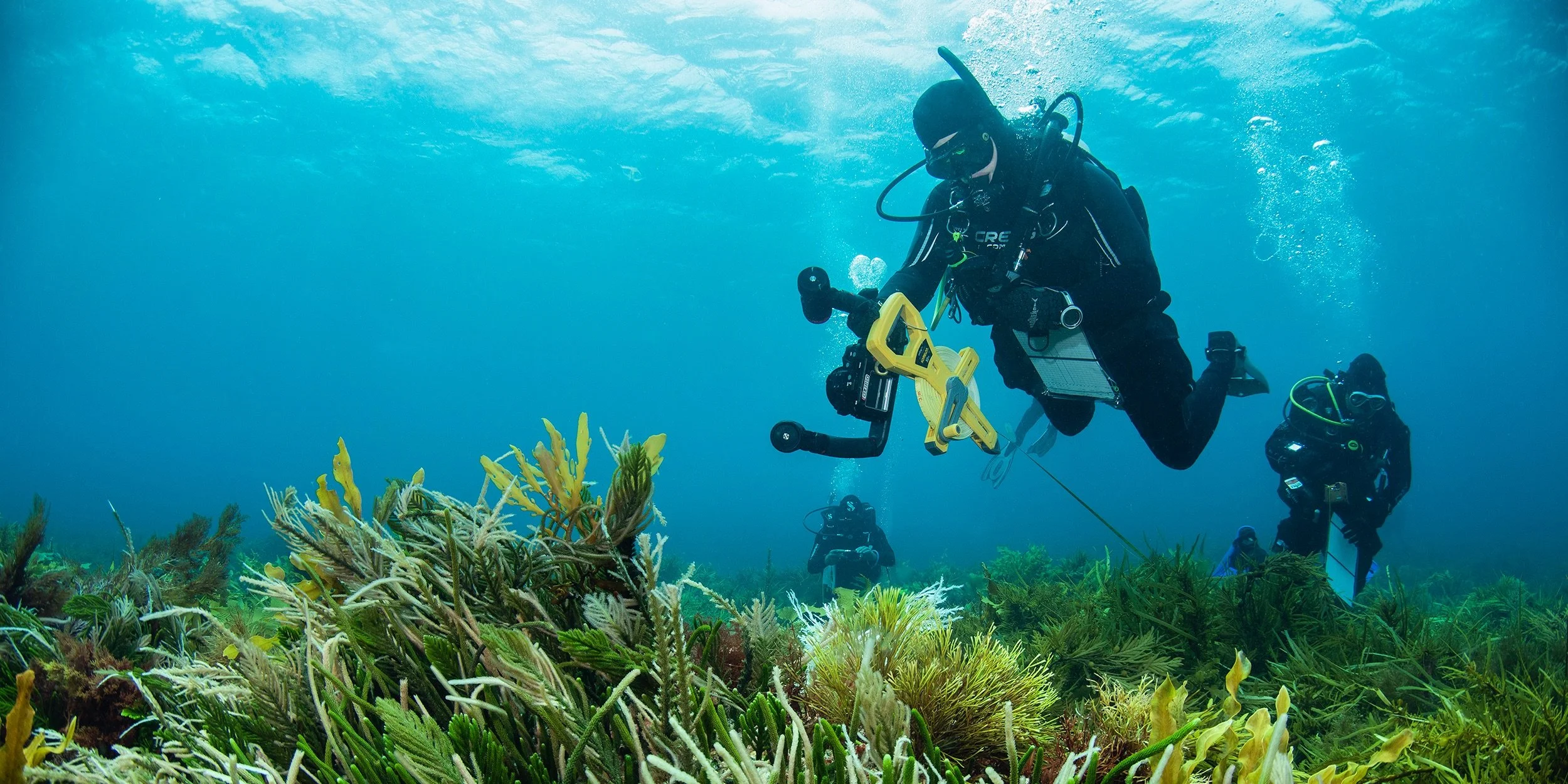 Stories from a Changing Sea: Oyster Project