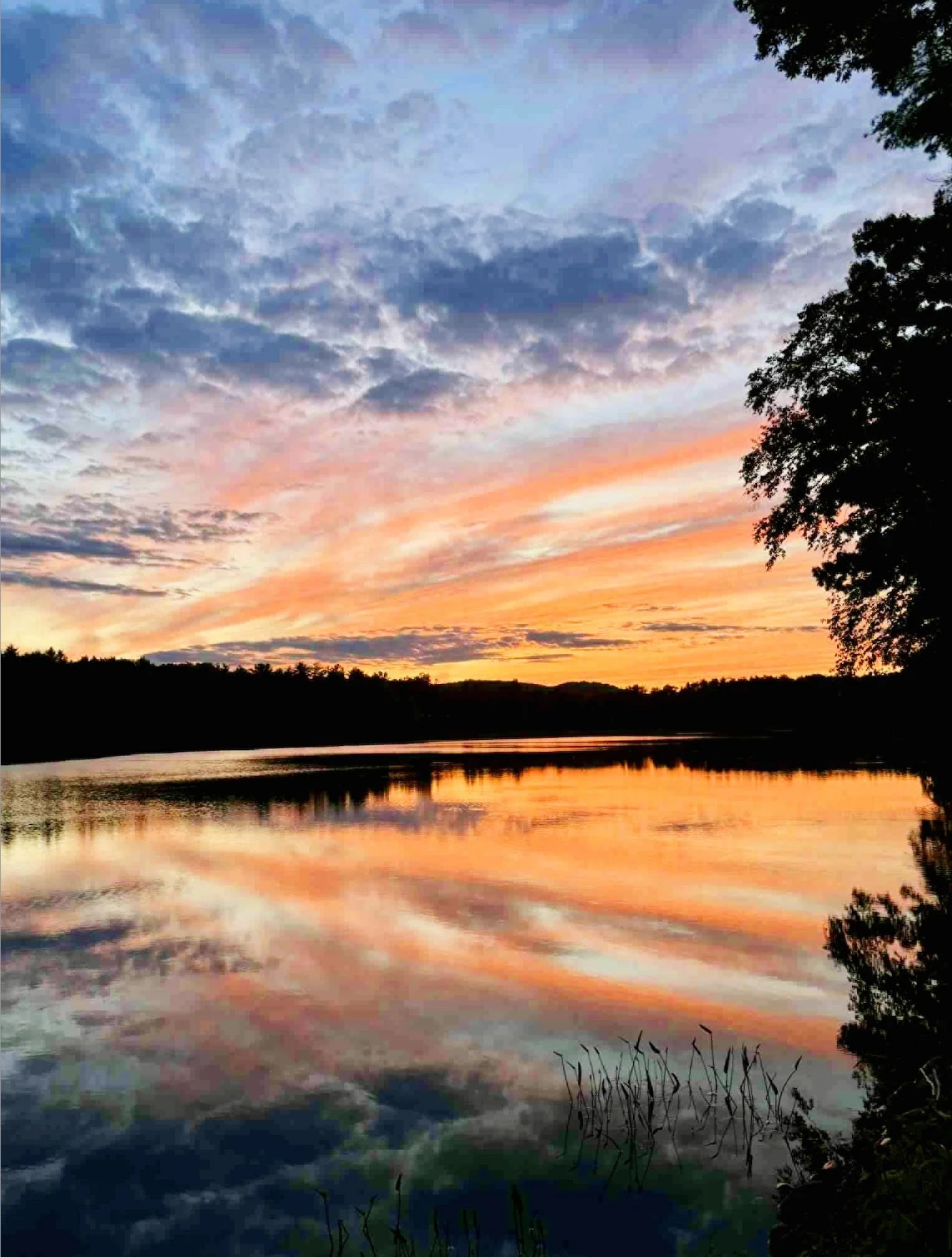 Screenshot 2025-11-22 at 8.59.21 PM.jpeg