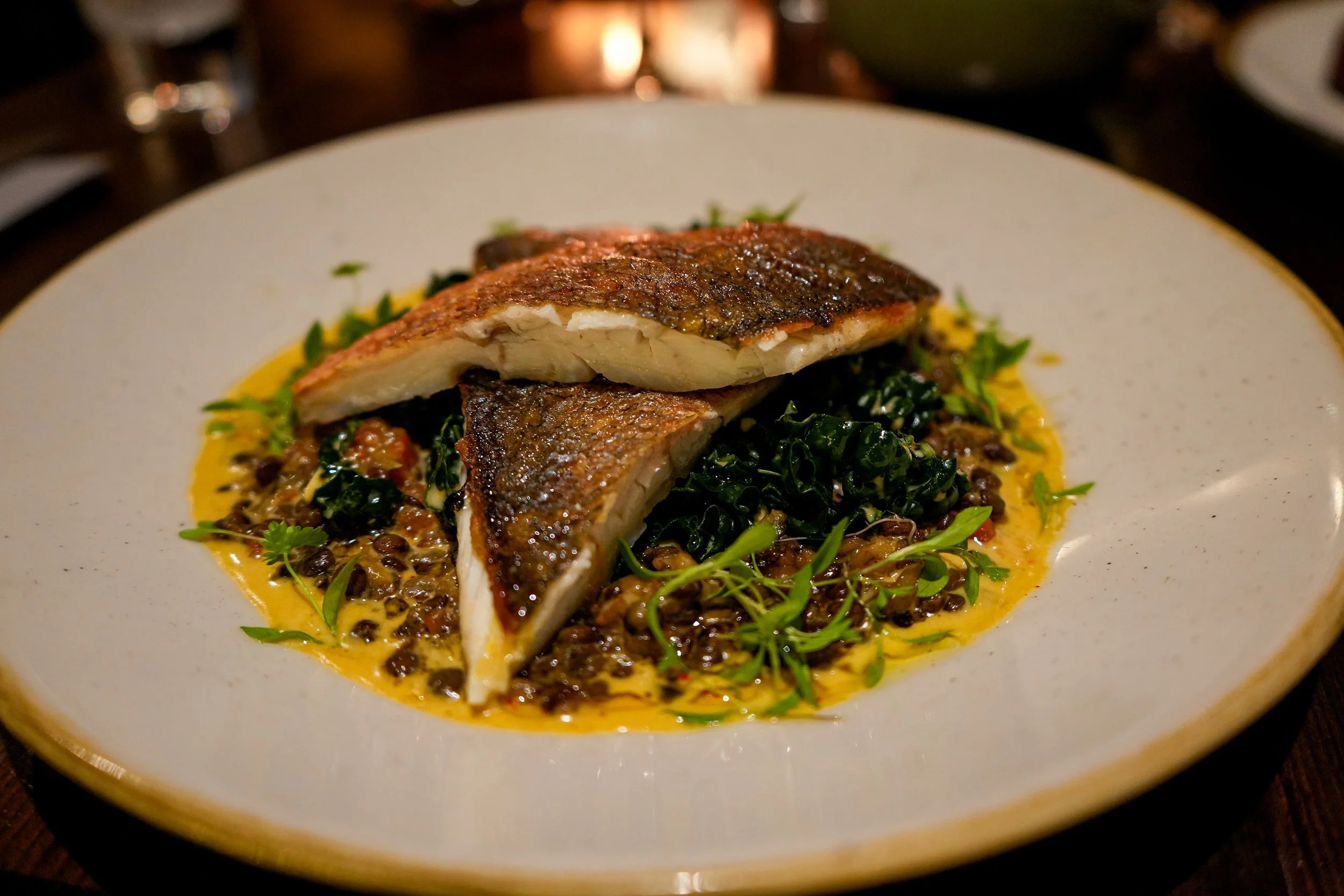 Pan-seared fish fillet served on a bed of greens with sauce and microgreens on a white plate.