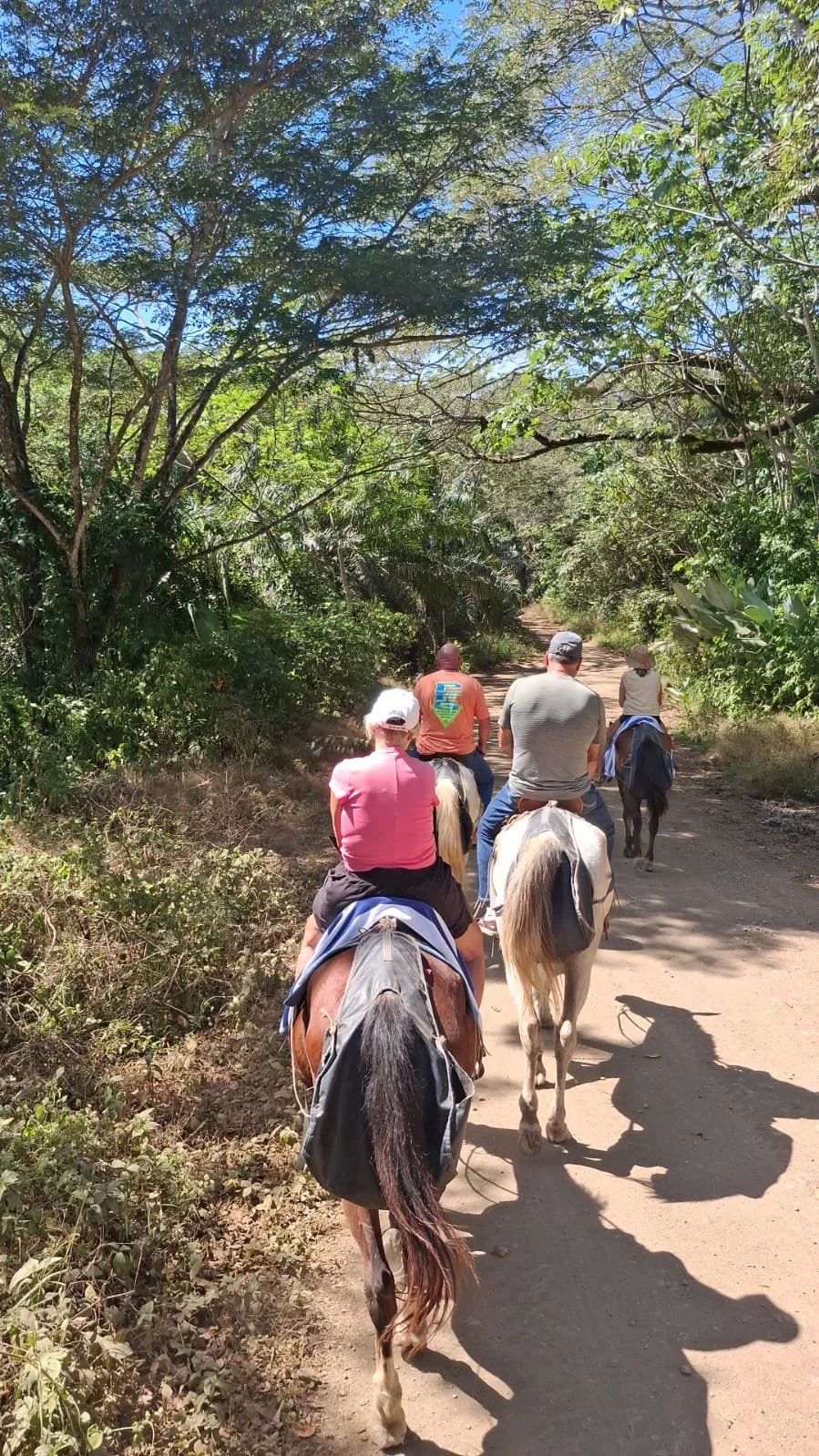 Jaco Horse tours